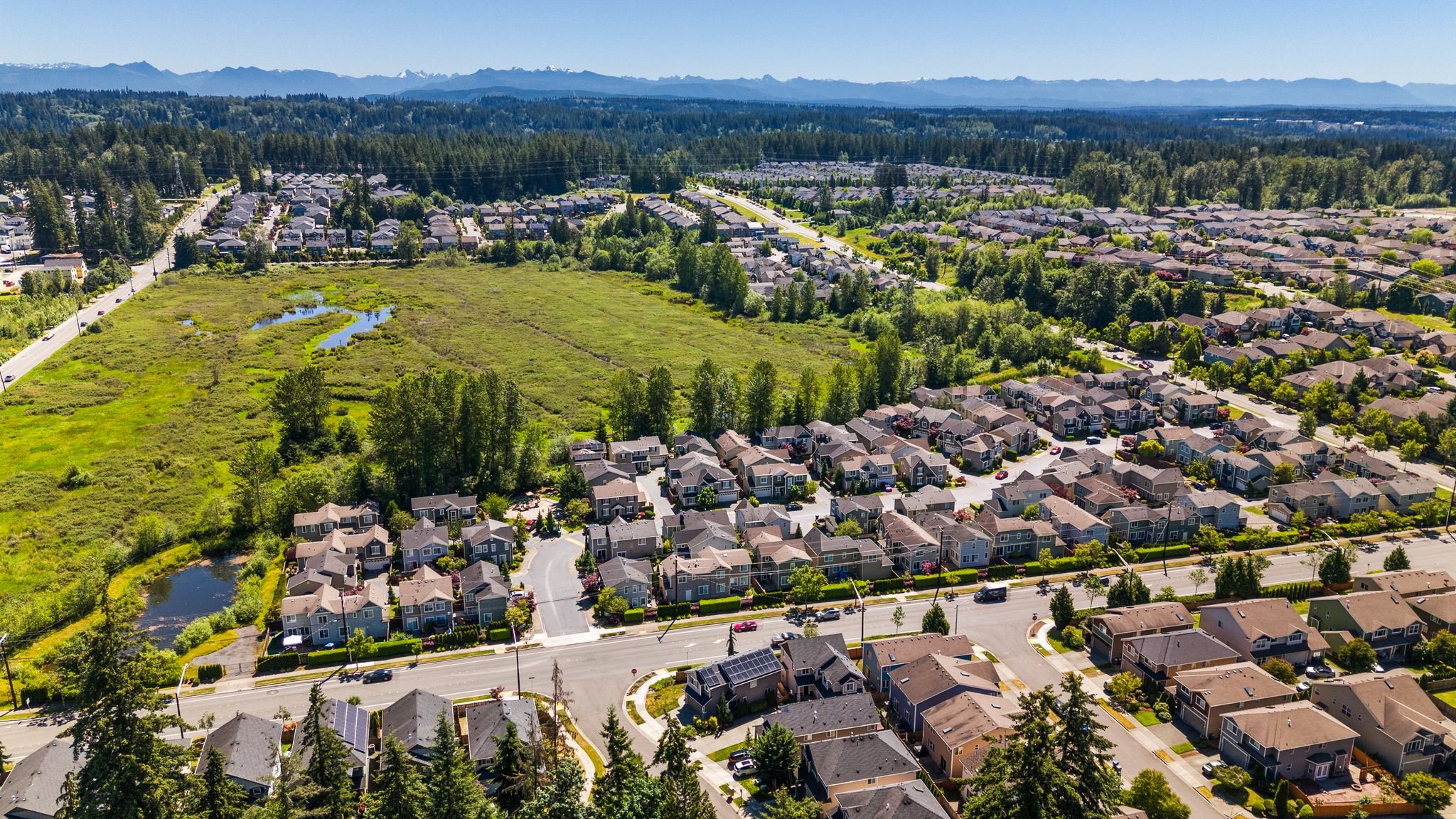 50_DJI_20240625111344_0098_D.jpg