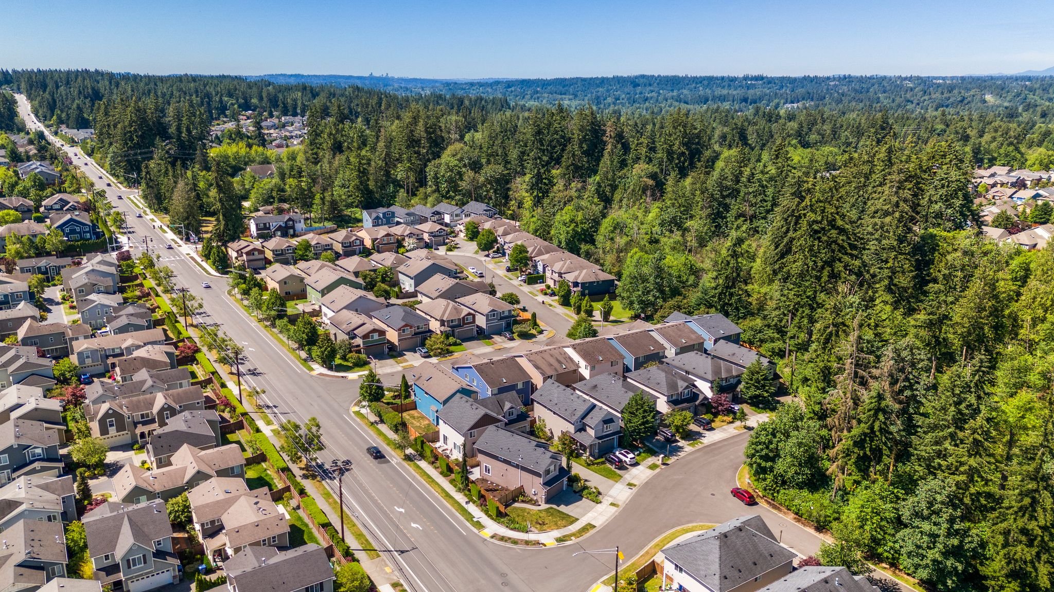 46_DJI_20240625111231_0078_D.jpg