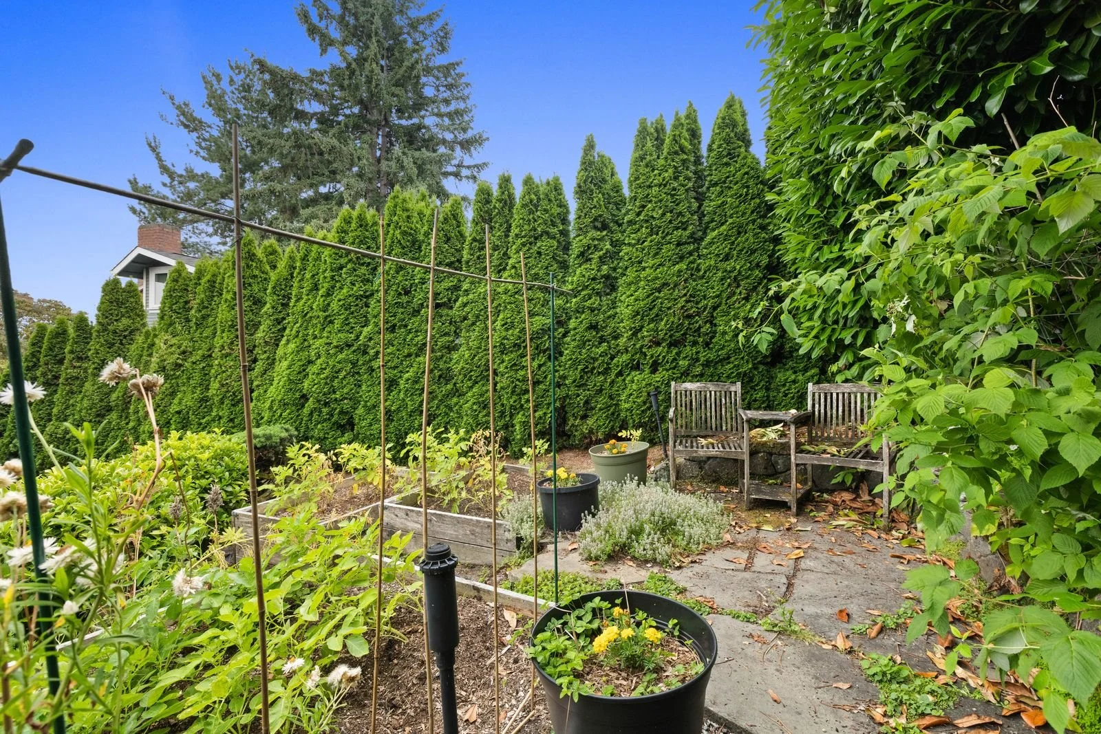 65_ ACRE Photo-63.jpg