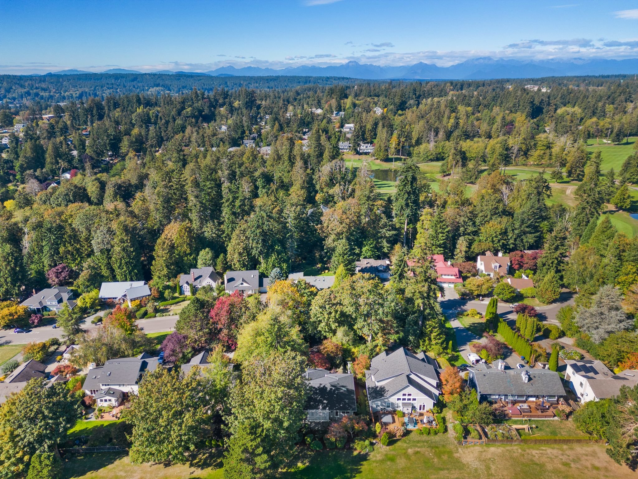 86_DJI_0512.jpg
