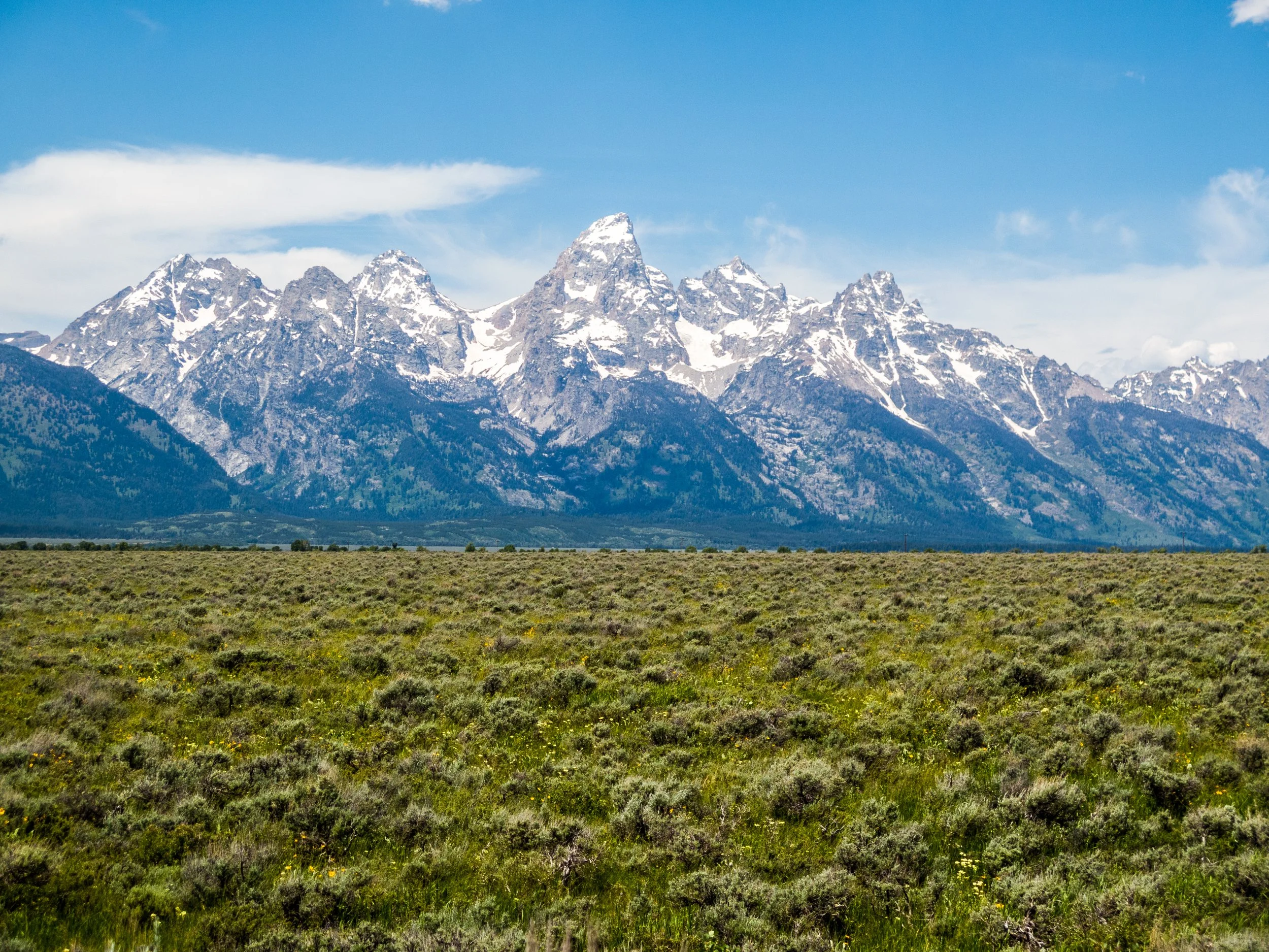 GTNP_2015-5.jpg
