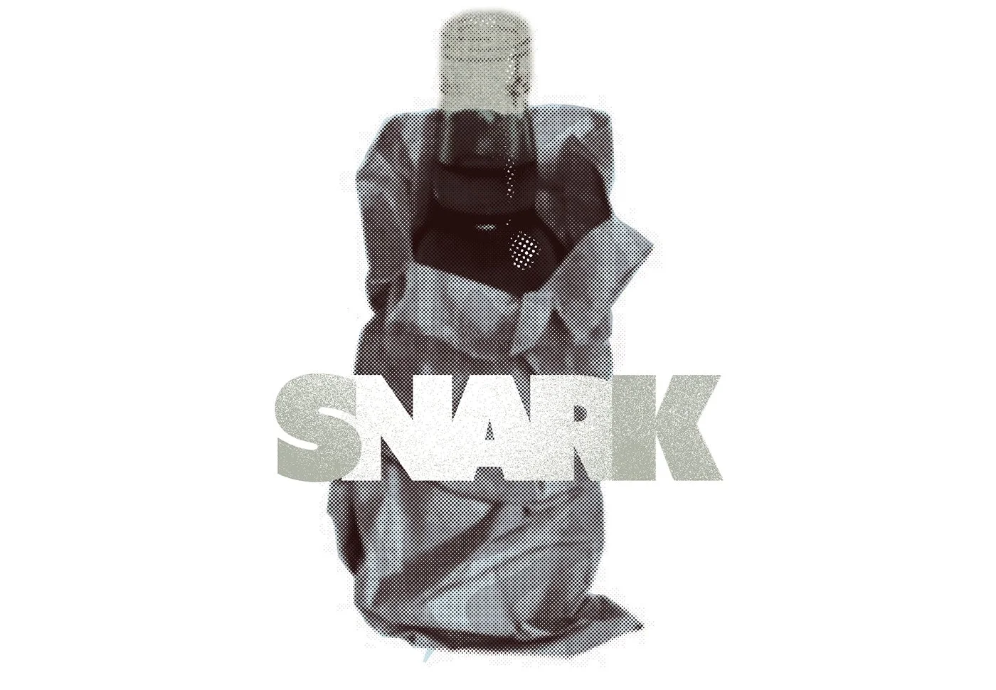 Presentation Doc SNark.jpg