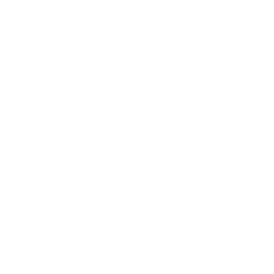 Drag &amp; Roll Racing