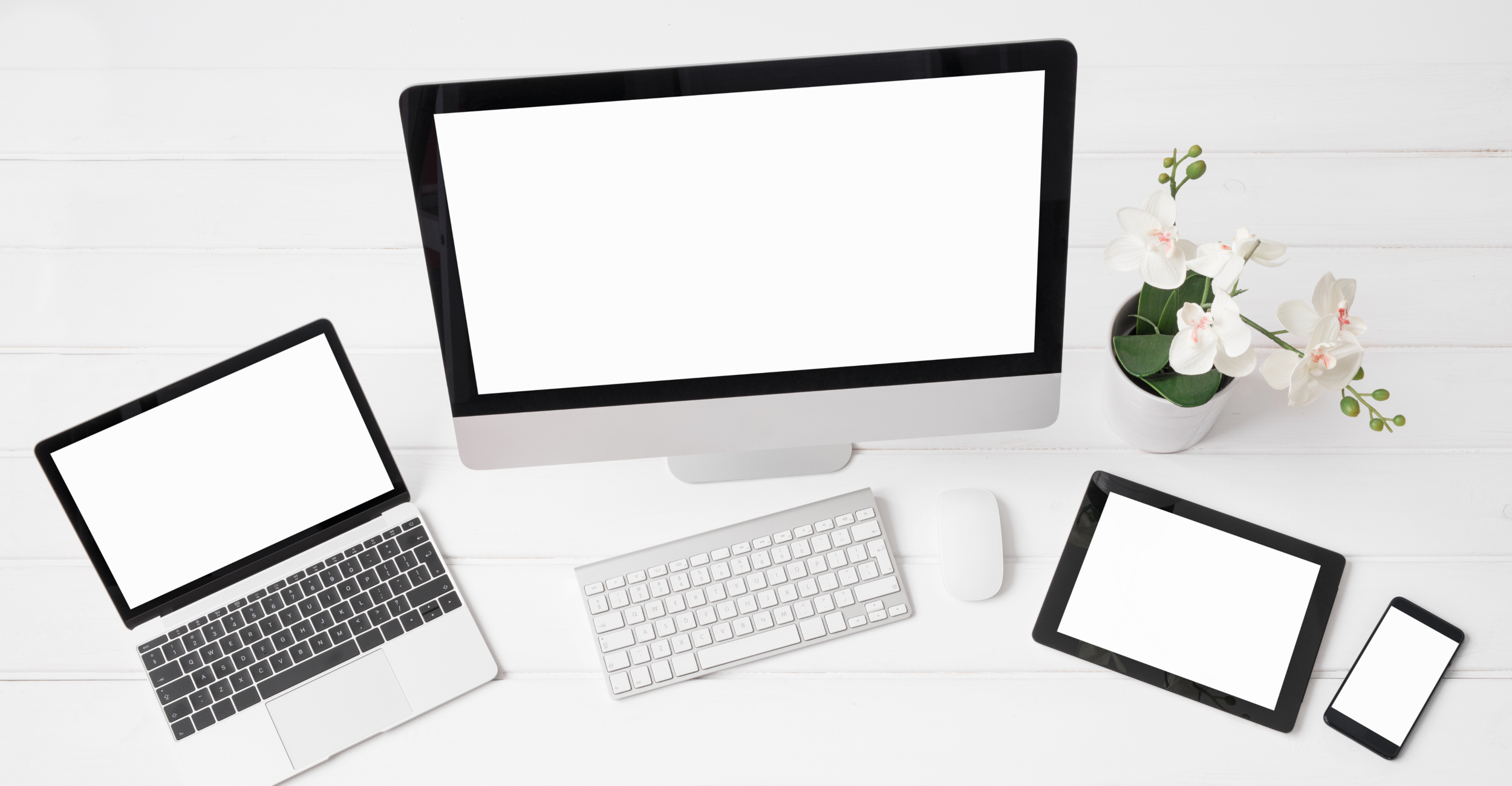 Revised Landscape Web Graphics KB.png