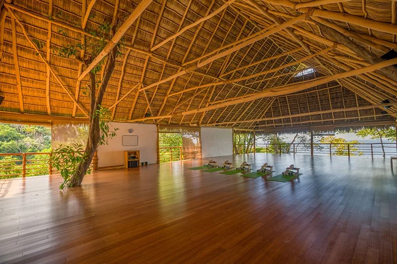 JungleStudio2 (1).jpg