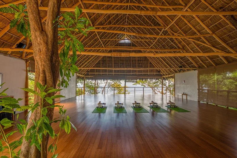 JungleStudio.jpg