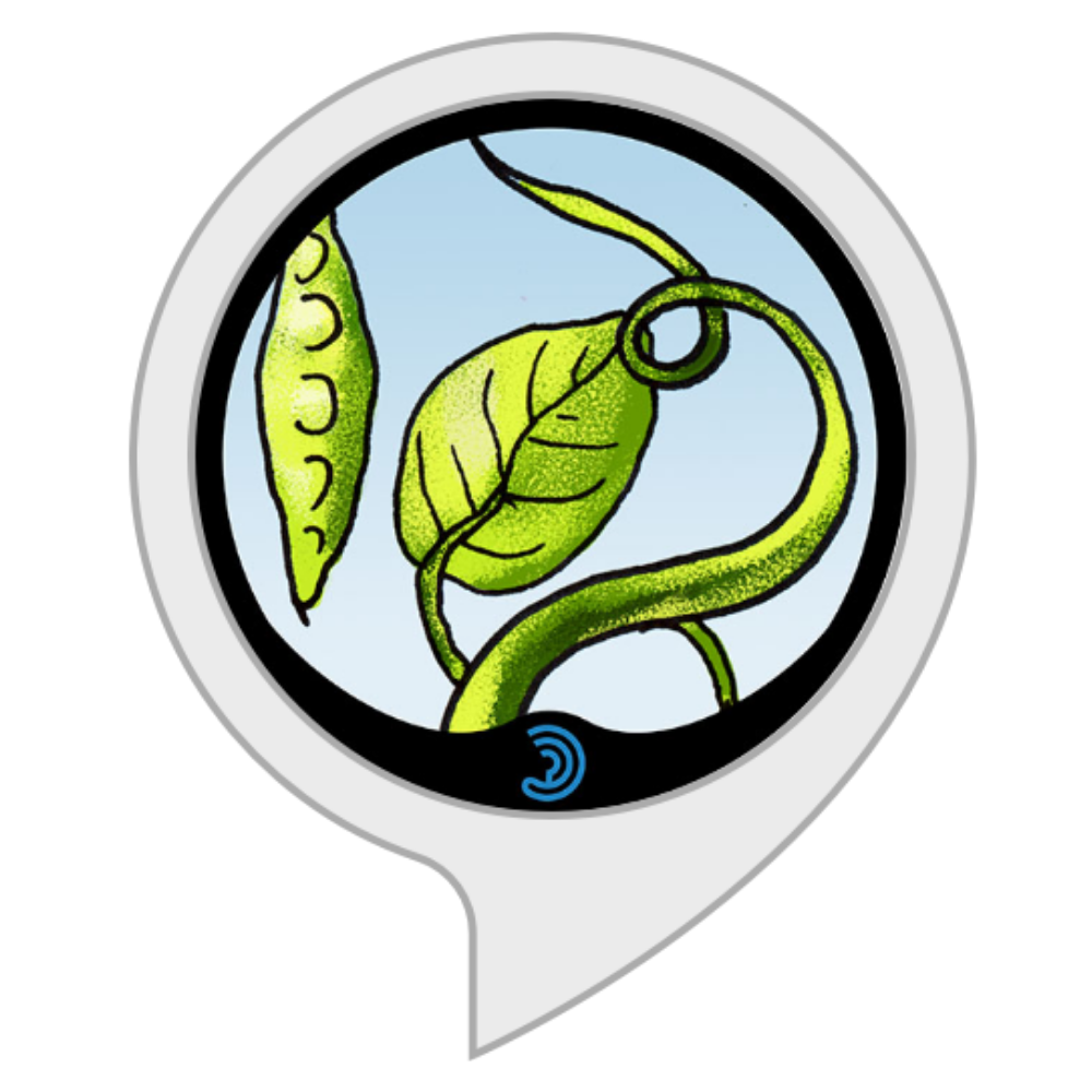 You and the Beanstalk