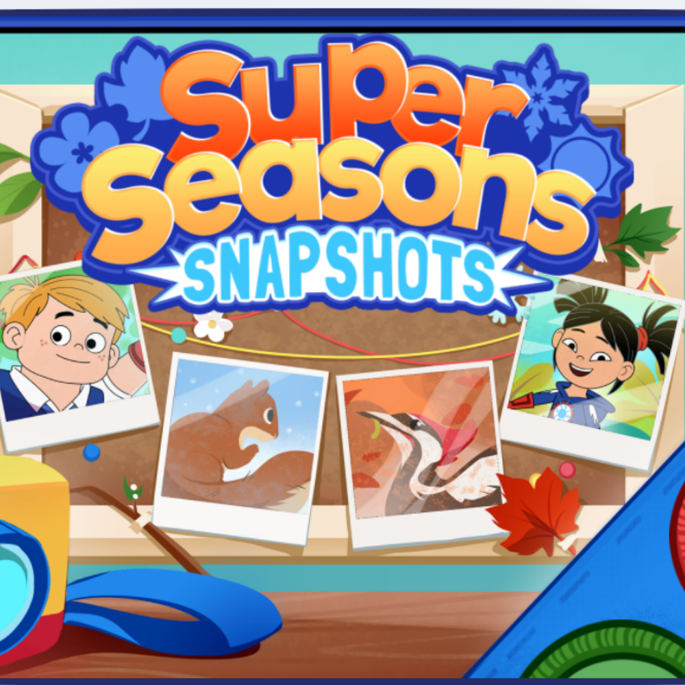 Super Seasons Snapshot