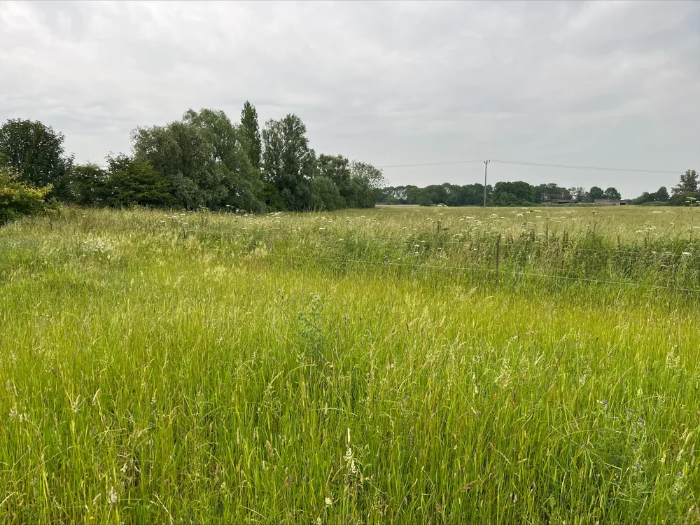 Affordable Housing 55 Dwellings, Gaul Road, March — Burmor Construction