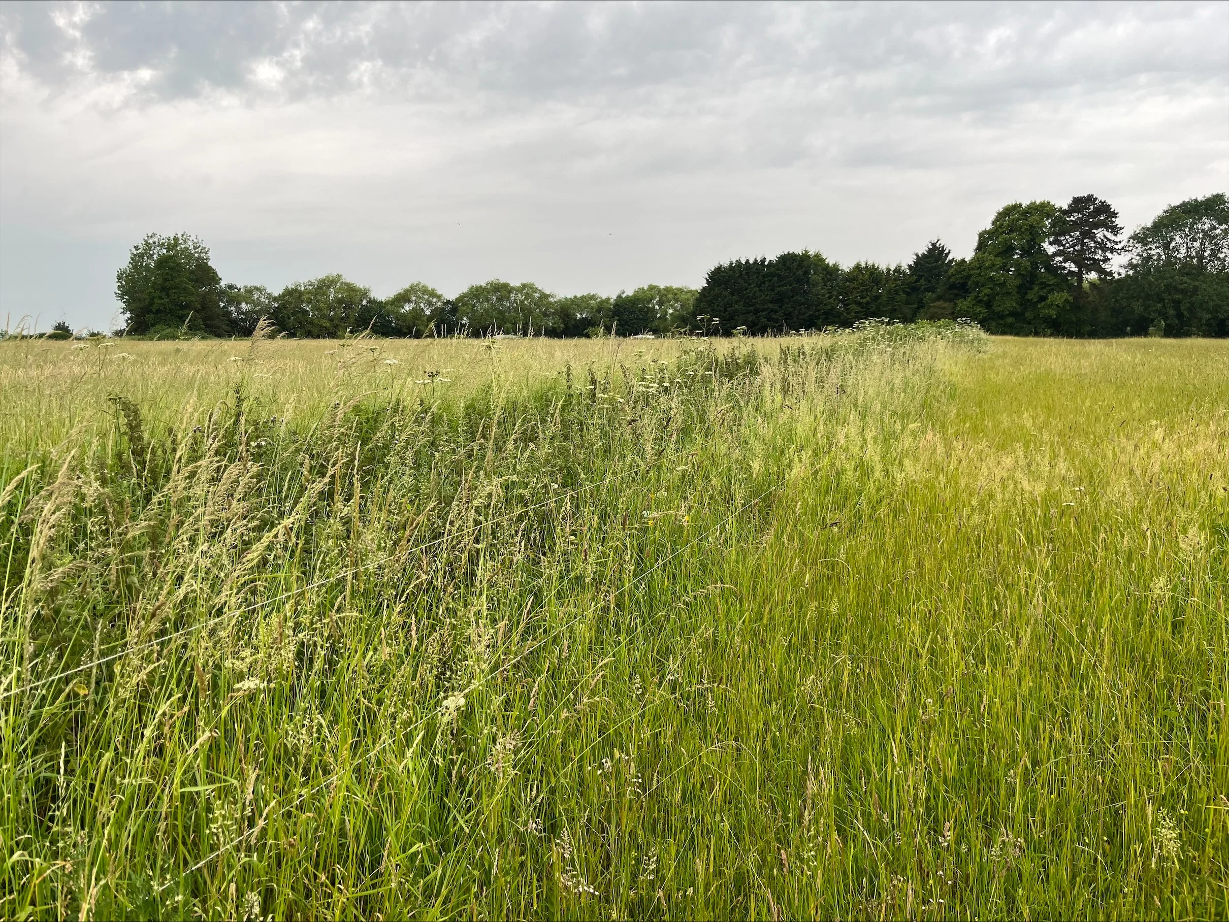 Affordable Housing 55 Dwellings, Gaul Road, March — Burmor Construction