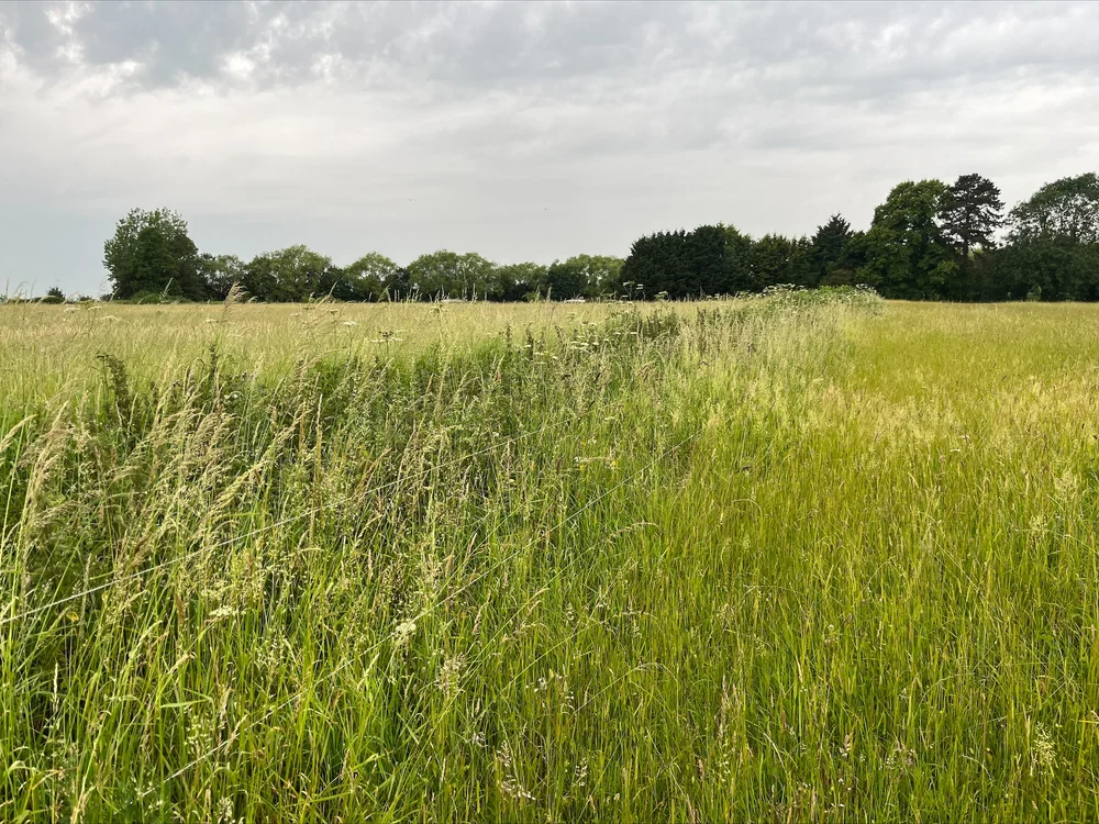 Affordable Housing 55 Dwellings, Gaul Road, March — Burmor Construction