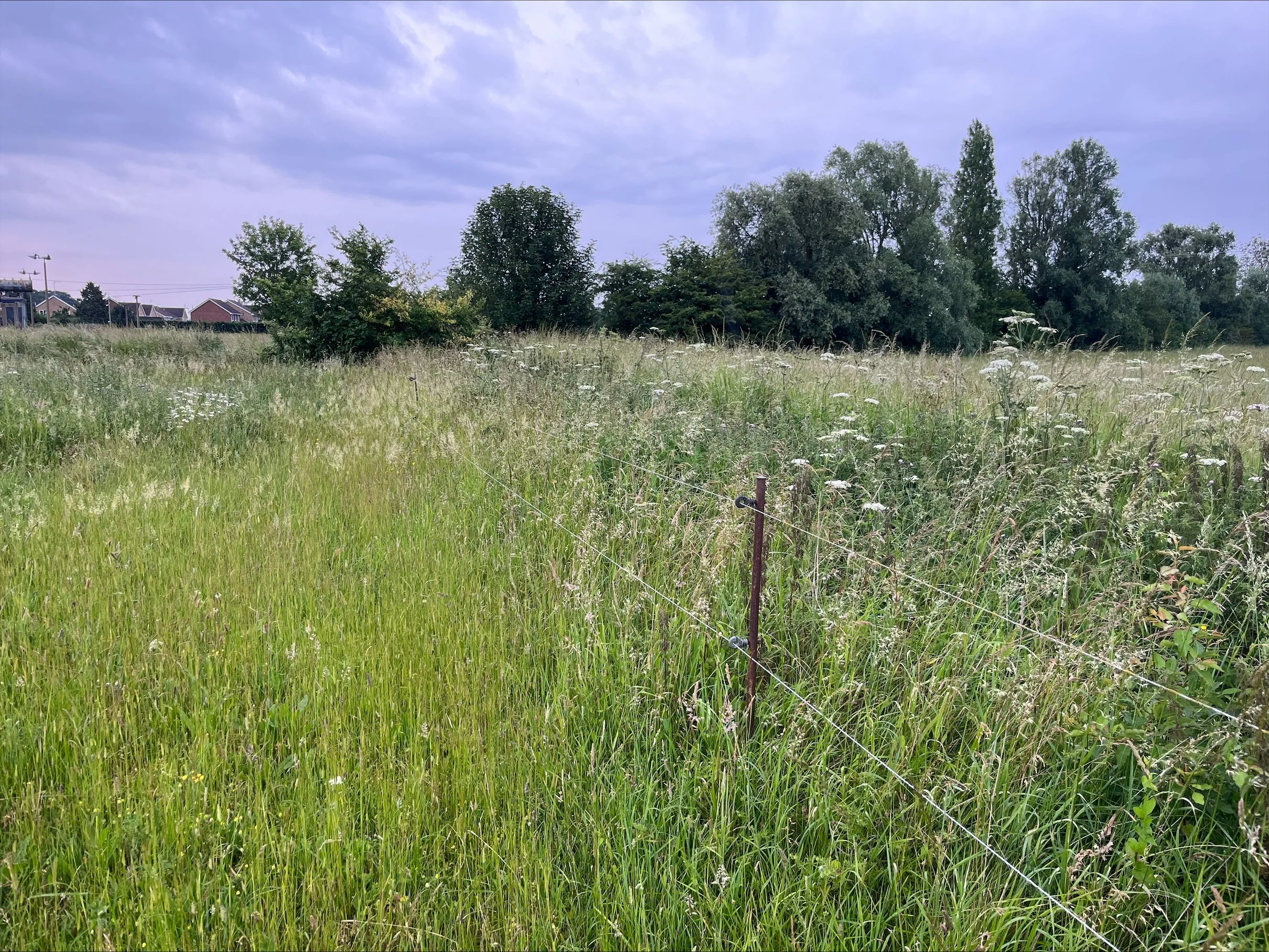 Affordable Housing 55 Dwellings, Gaul Road, March — Burmor Construction