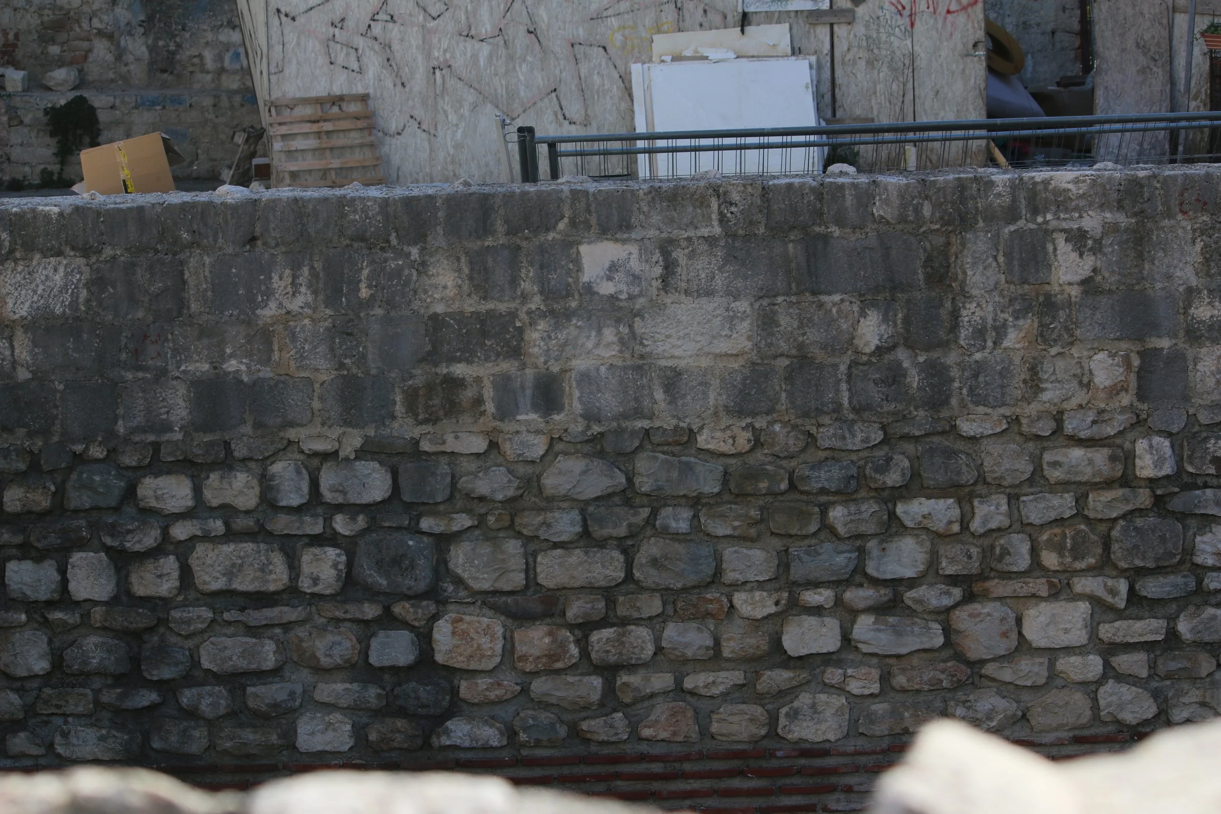 IMG_8881.jpeg