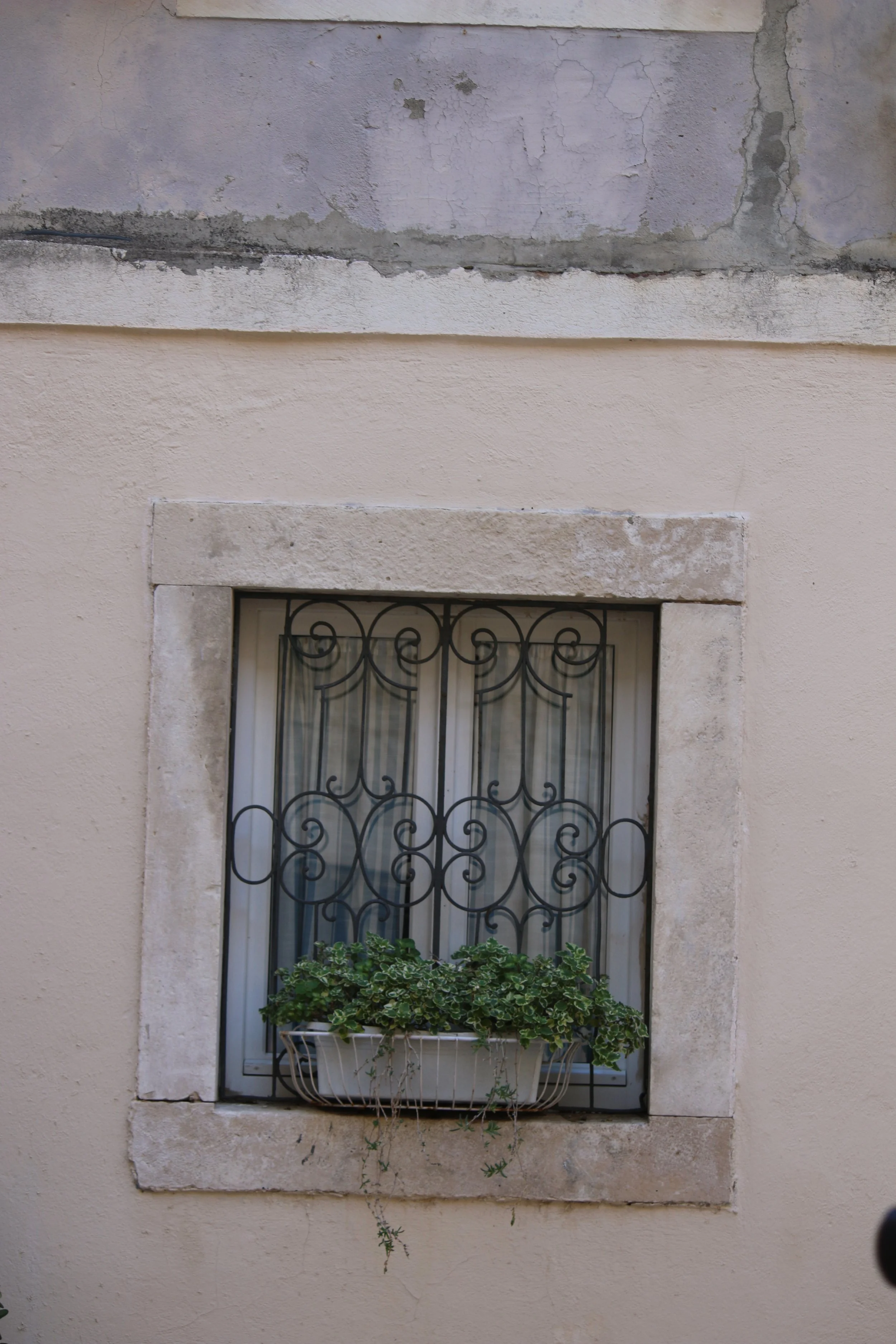 IMG_8884.jpeg