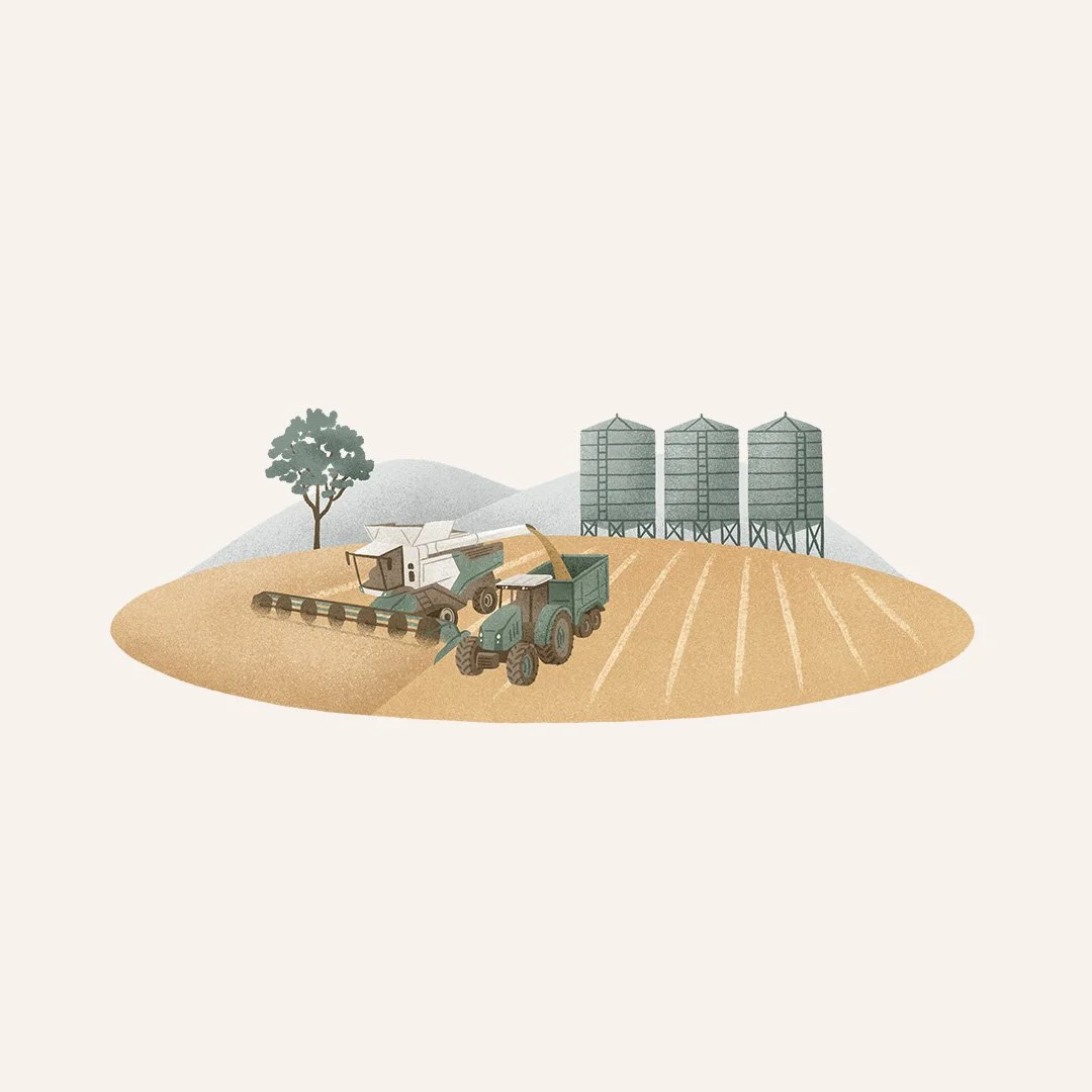 Illustration of a farm scene