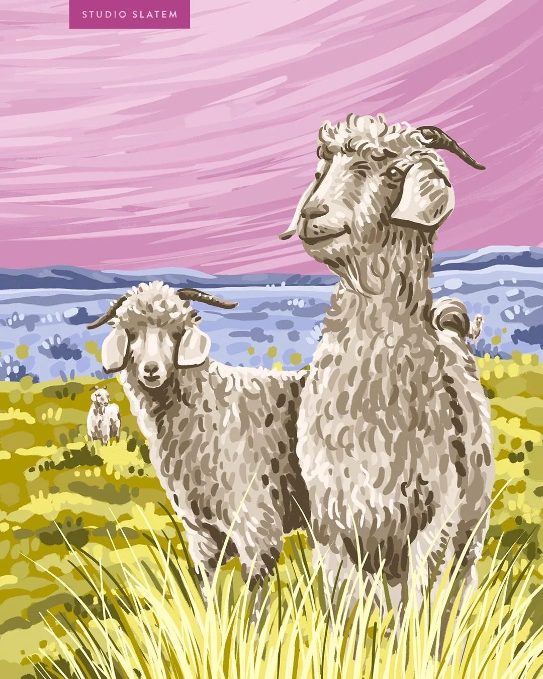 Features of the four pop-inspired artworks created for @samil_natural_fibres mohair collection folders.

They capture the vibrancy and colours of the yarn samples inside, while featuring the iconic landscape and unique quirks of the Karoo (South Atri