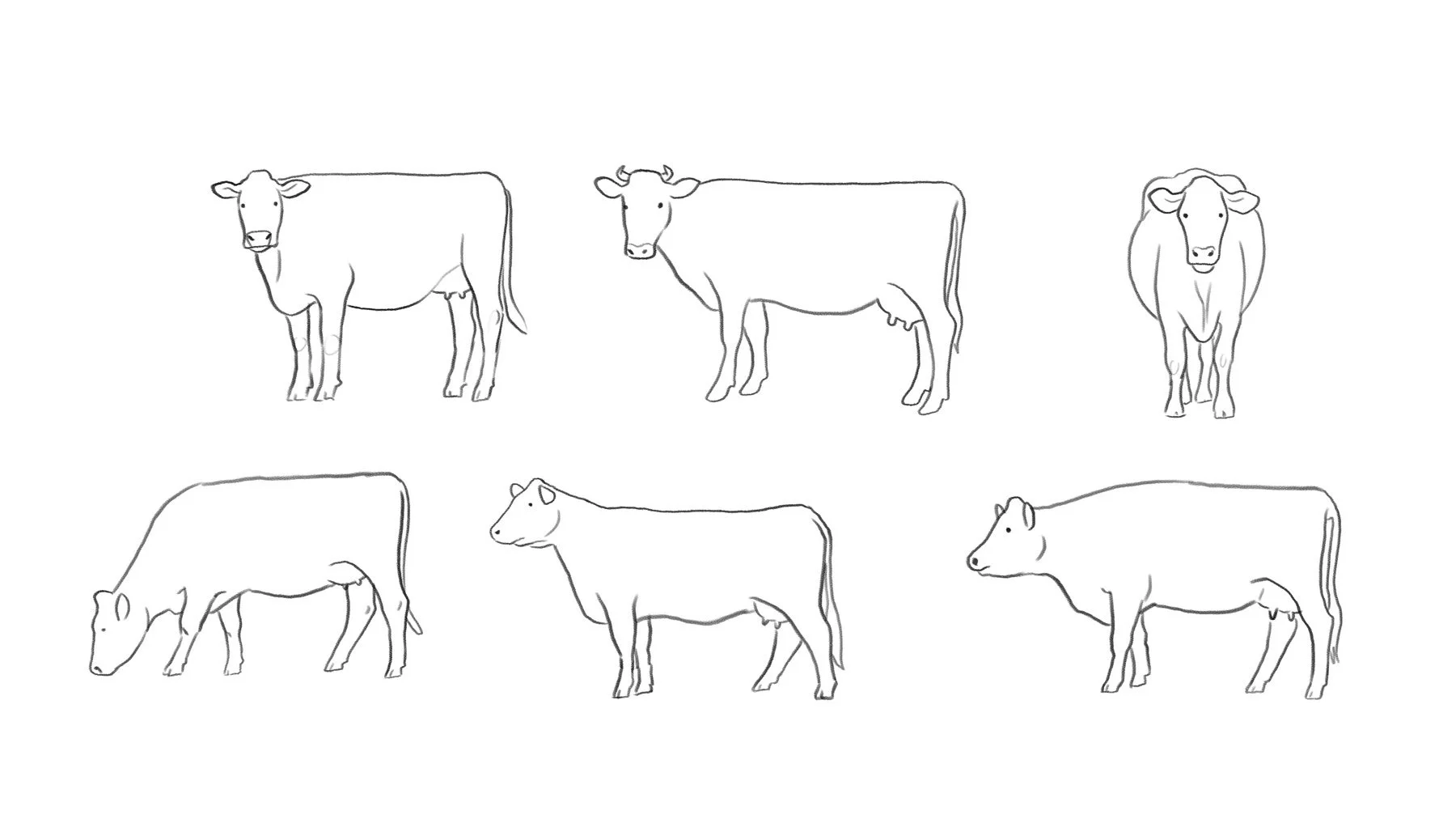 Pencil sketches of various cow poses