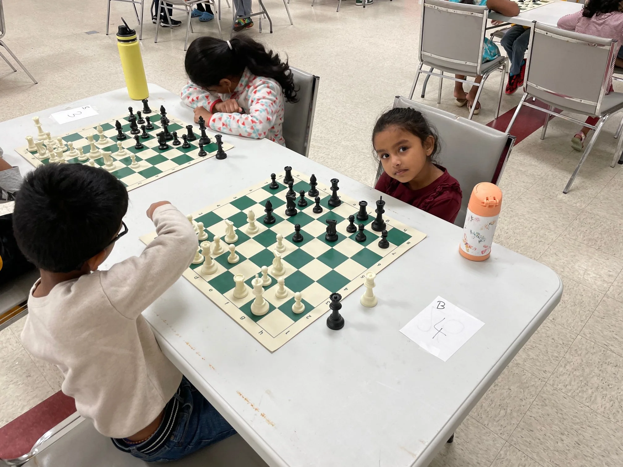 IMG_5311 - Copy.JPEG