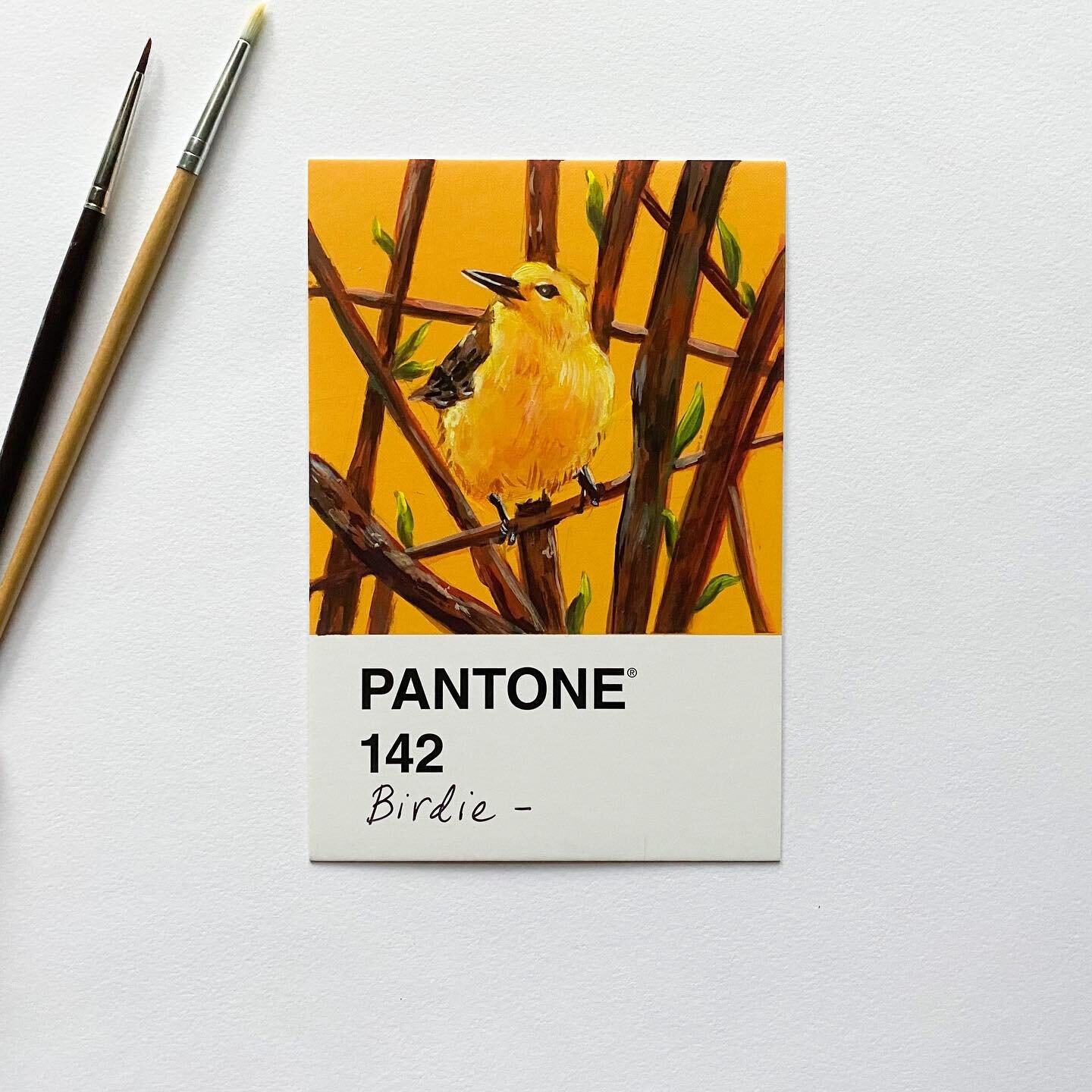Day 4/30
It&rsquo;s a Prothonotary Warbler 🐥 I feel like this plump little bird is begging to be called something cuter, maybe Tweety(?) I say we steal the name

Reference: Scott Mednick
.
.
.
.
.
.
.
.

#bird #yellow #gouache #gouachepainting #goua
