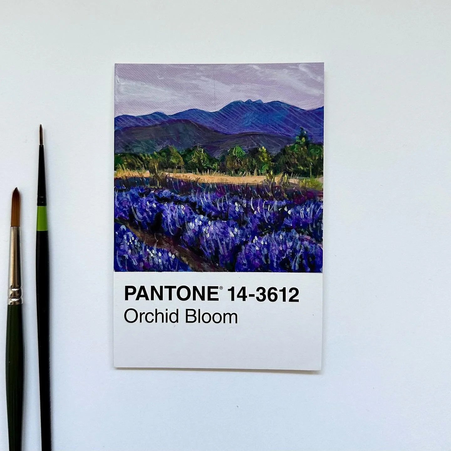 23 🪻🪻🪻

Purble flowers are always a fav
.
.
.
.
#gouacheart #gouachepainting #gouacheillustration #100dayproject #pantone #pantoneproject #pantonechallenge2024 #huevember #artchallenge