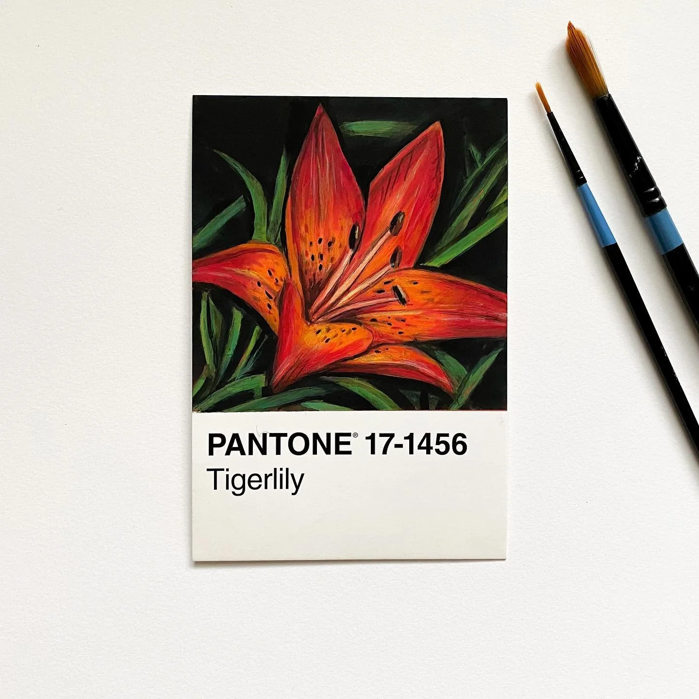 11/30
I adore adore lilies (even if they make me sneeze for a week 🤧) and for the longest time, I never realized the character Tiger Lily was named after the flower bc I was a dumb kid 😅
.
.
Reference: Janice Pariza
.
.
.

#gouacheart #botanicalart
