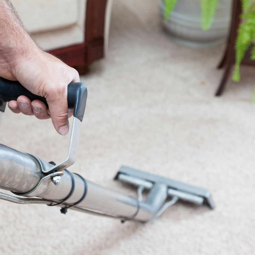 Understanding Drying Times How Long Should Your Carpets Take to Dry
