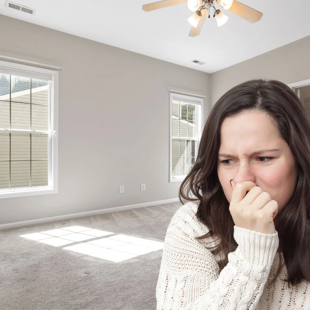 Why Does My Carpet Smell? — Mega Clean