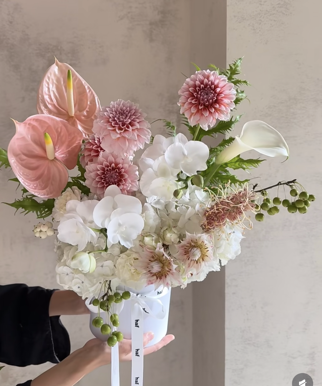 Screenshot 2026-01-26 at 15.58.30.png