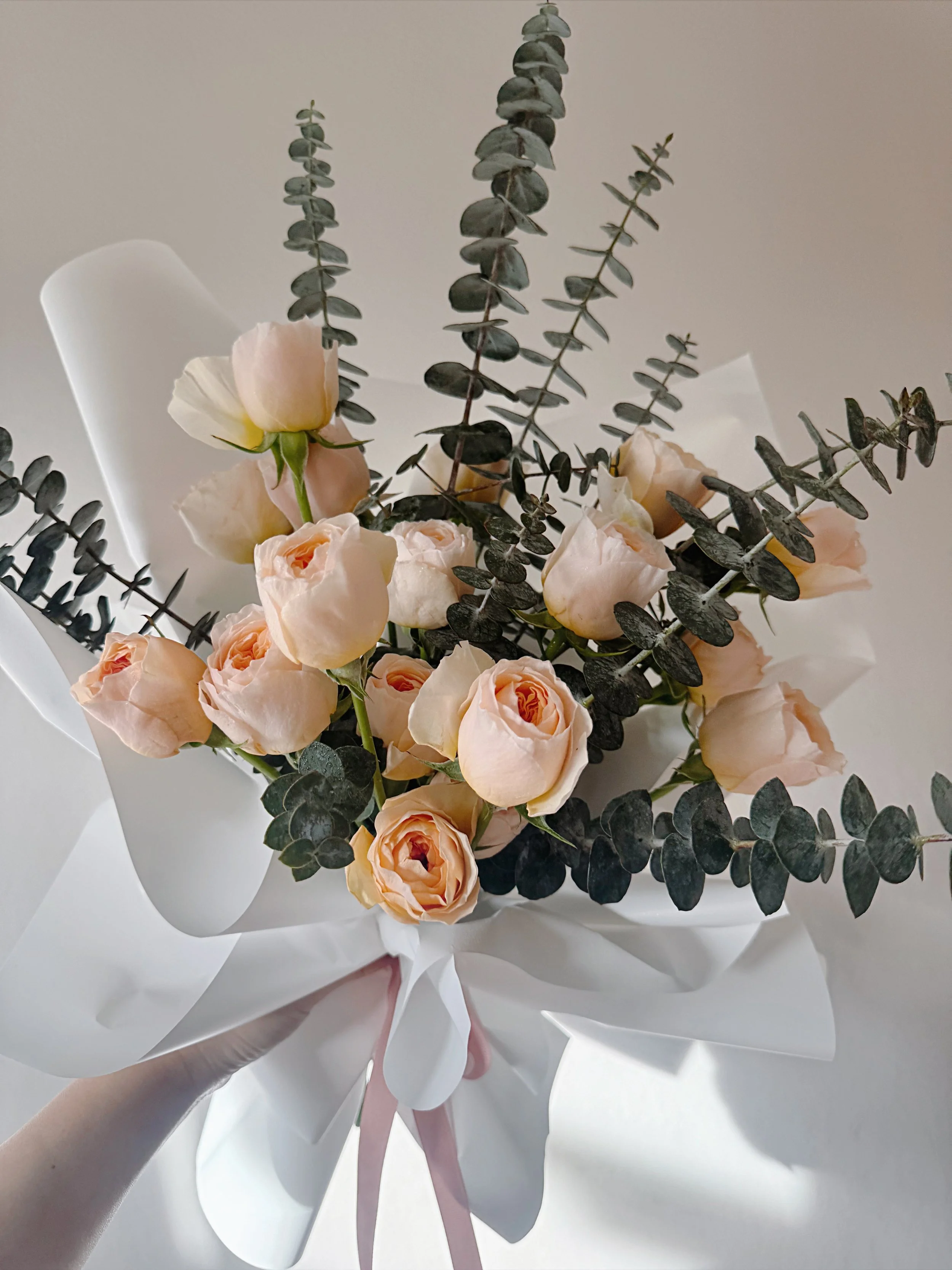 Austin Garden Rose Crush