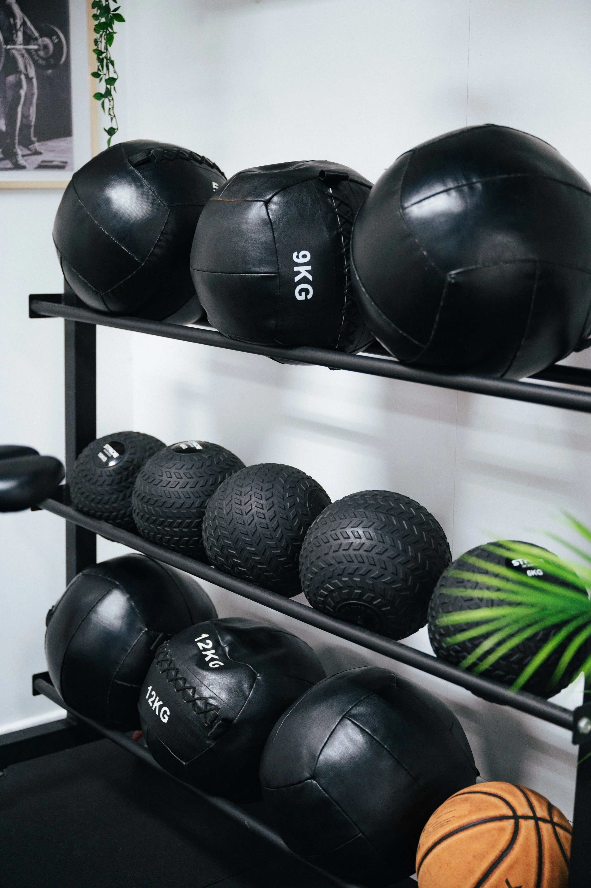 20251029 AOT-510.jpg