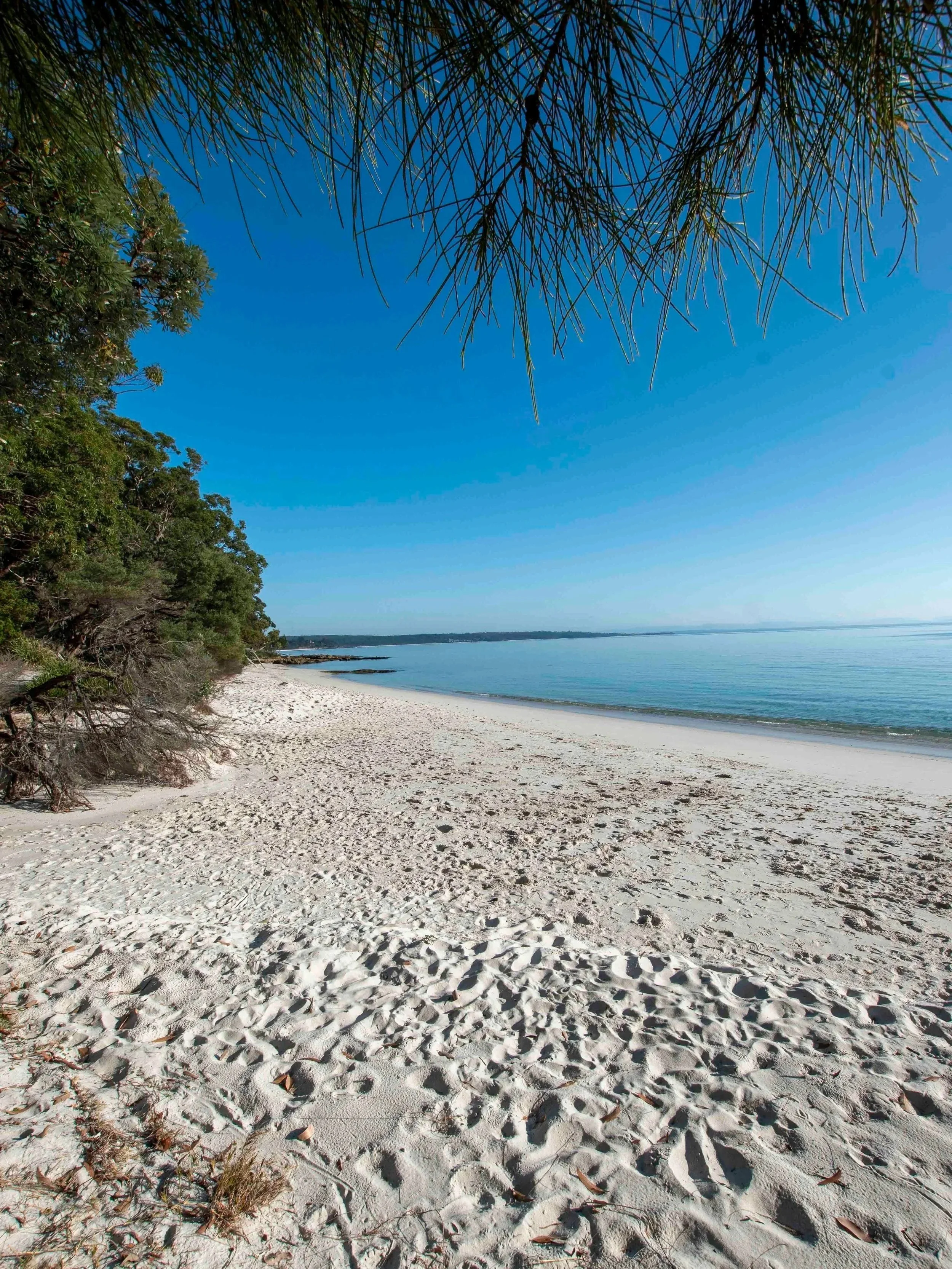 Captains Beach