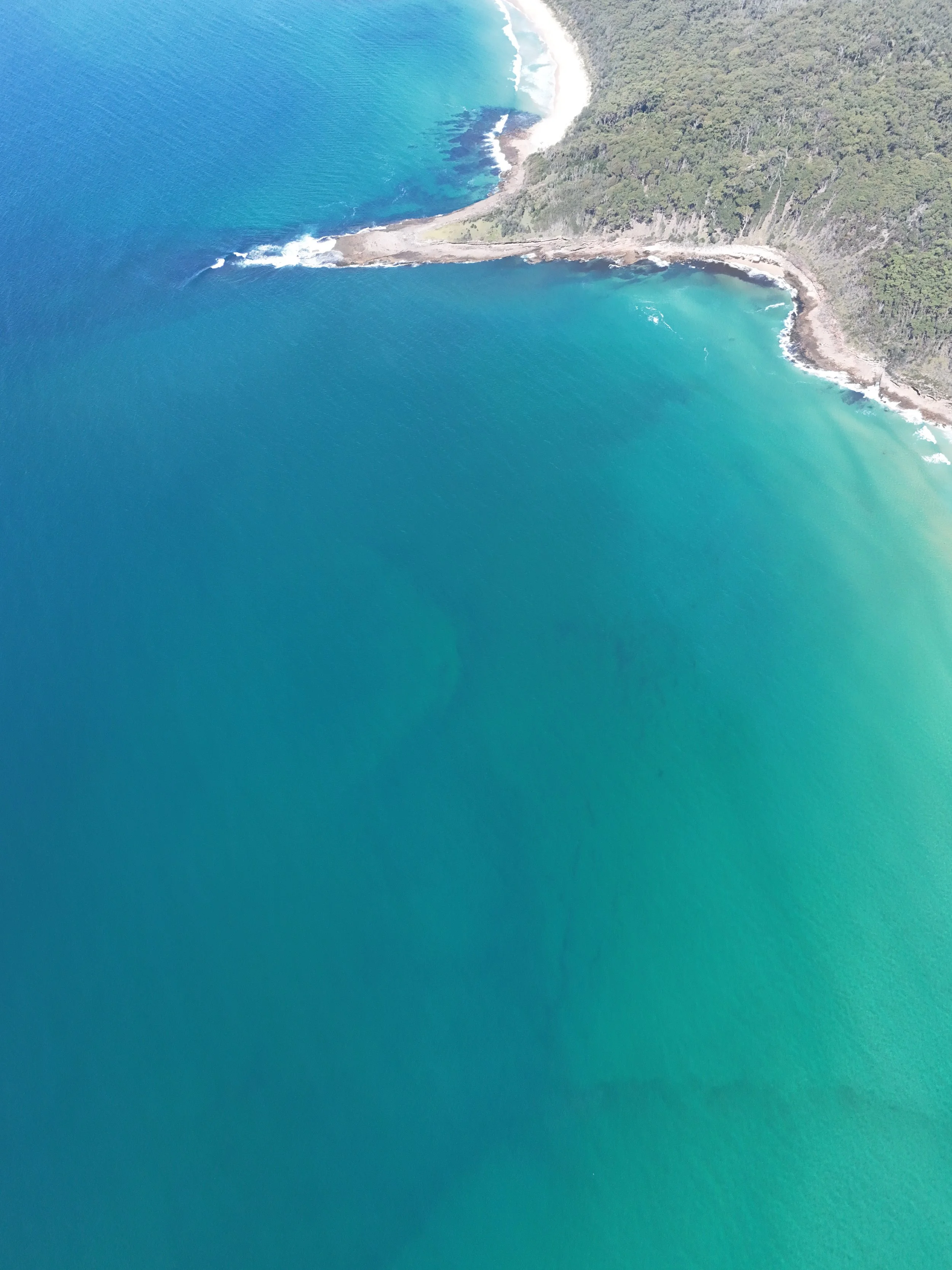 Nuggan Point