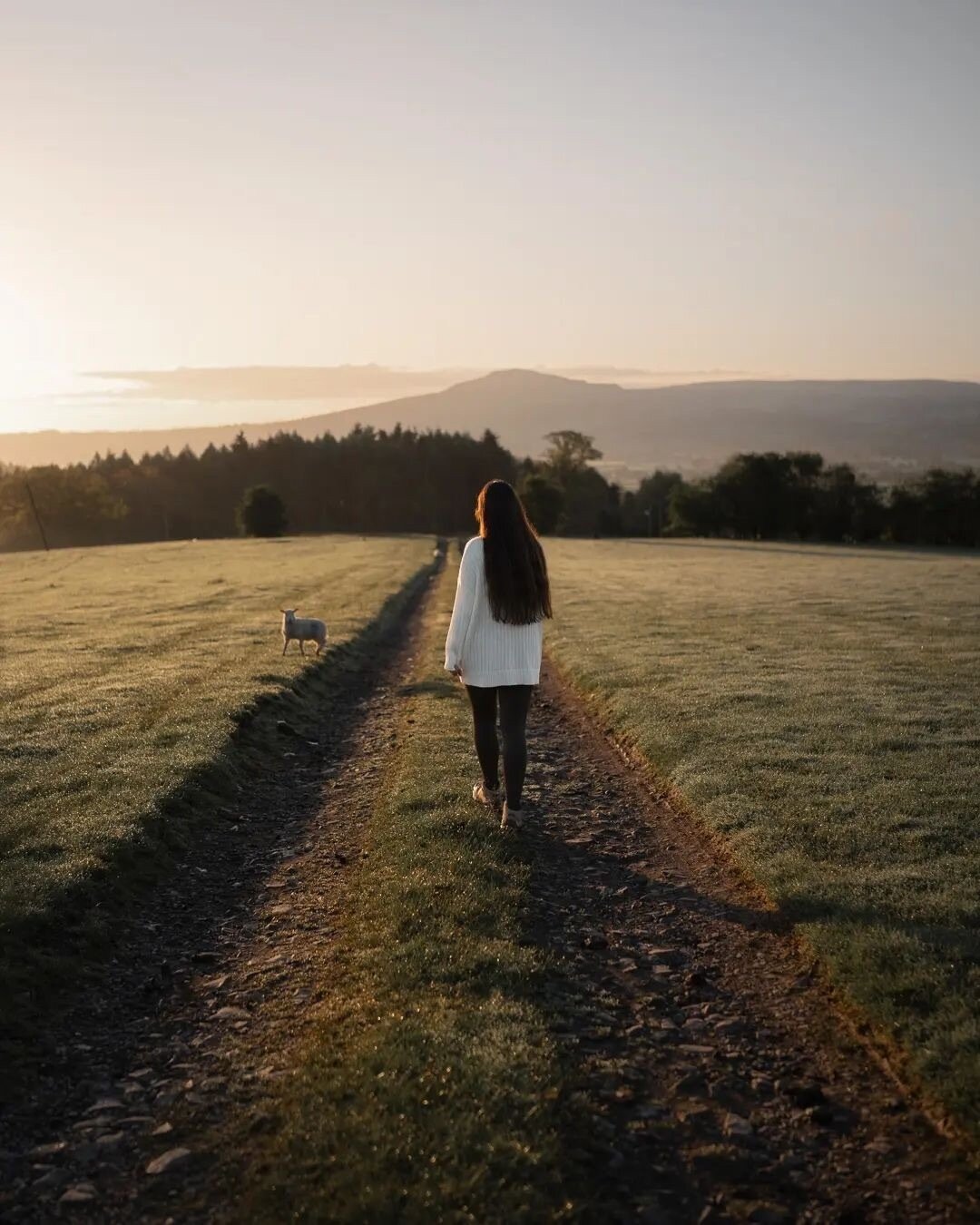&ldquo;✨Captured a few shots during my last break in the beautiful Shropshire Hills. It was the perfect place to unwind.&rdquo;⁠
⁠
Repost from @annabukowskaphotography