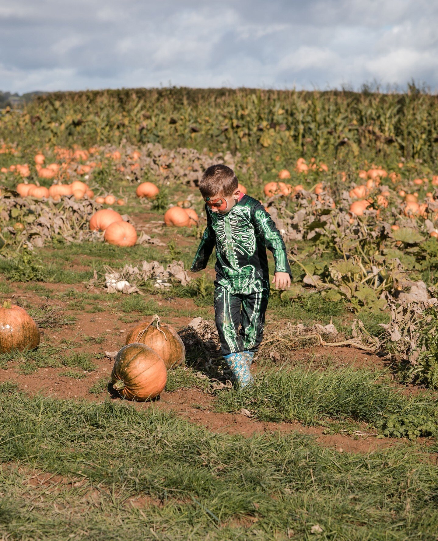 Don't miss the last chance to visit The Pumpkin Patch this weekend! 🎃⁠
⁠
We have everything you need to enjoy a fun-filled day with your family and friends, including pumpkin picking, delicious pizza, face painting, skittles, and more. The Patch is 