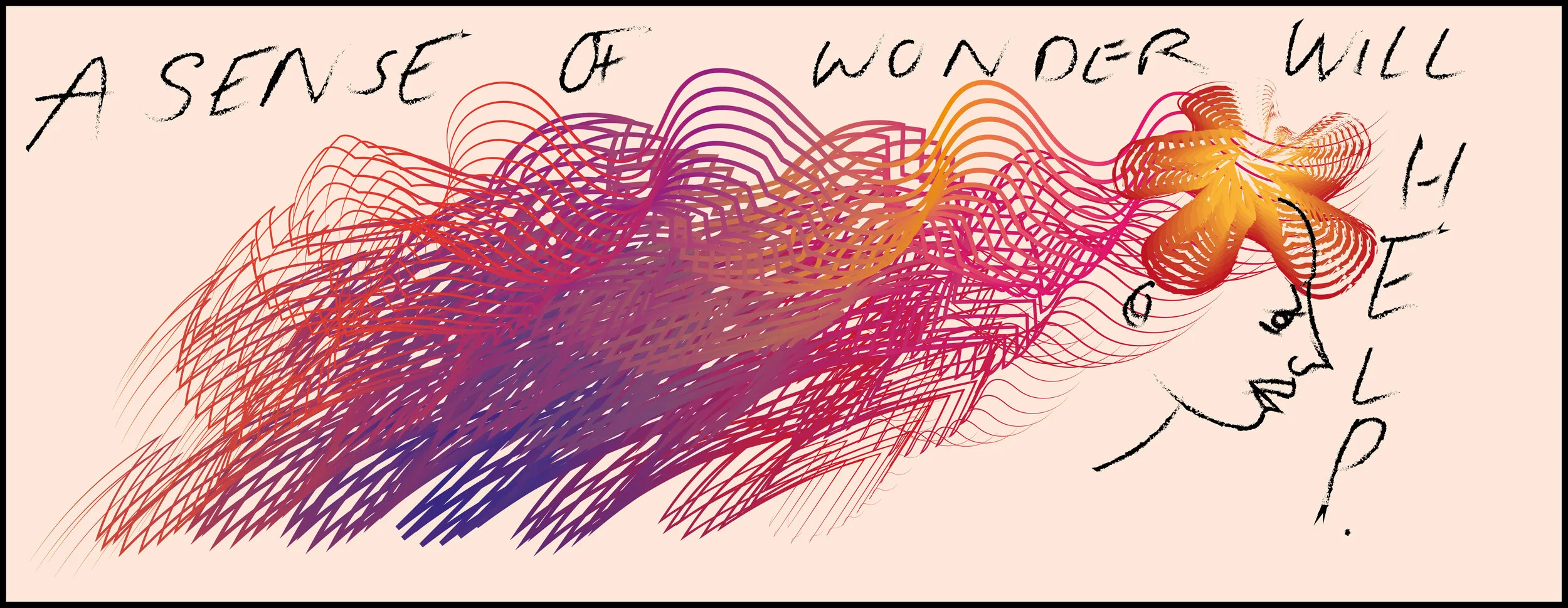 wonder-01.jpg
