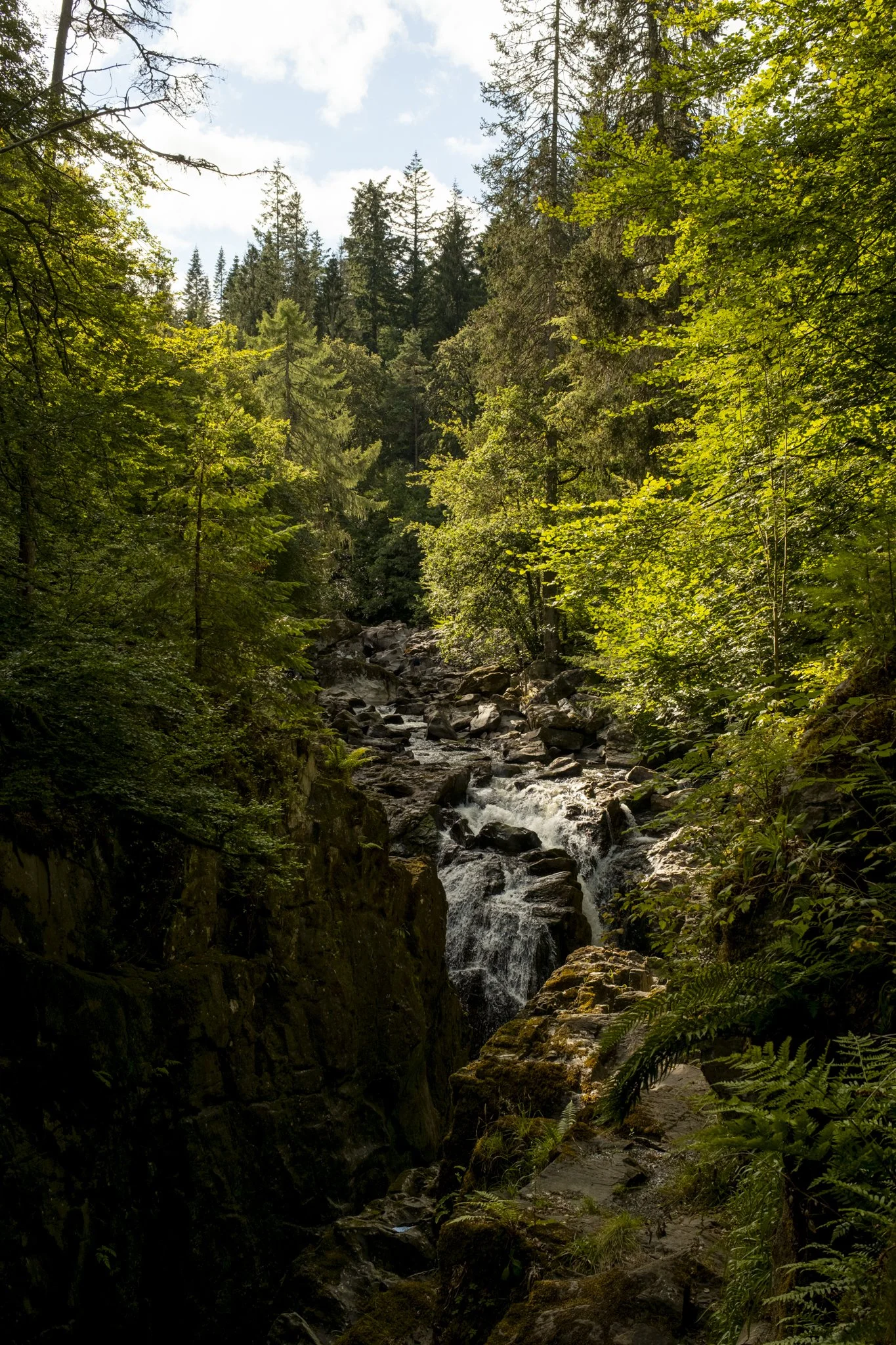A beautiful waterfall running through a sunlit forest.