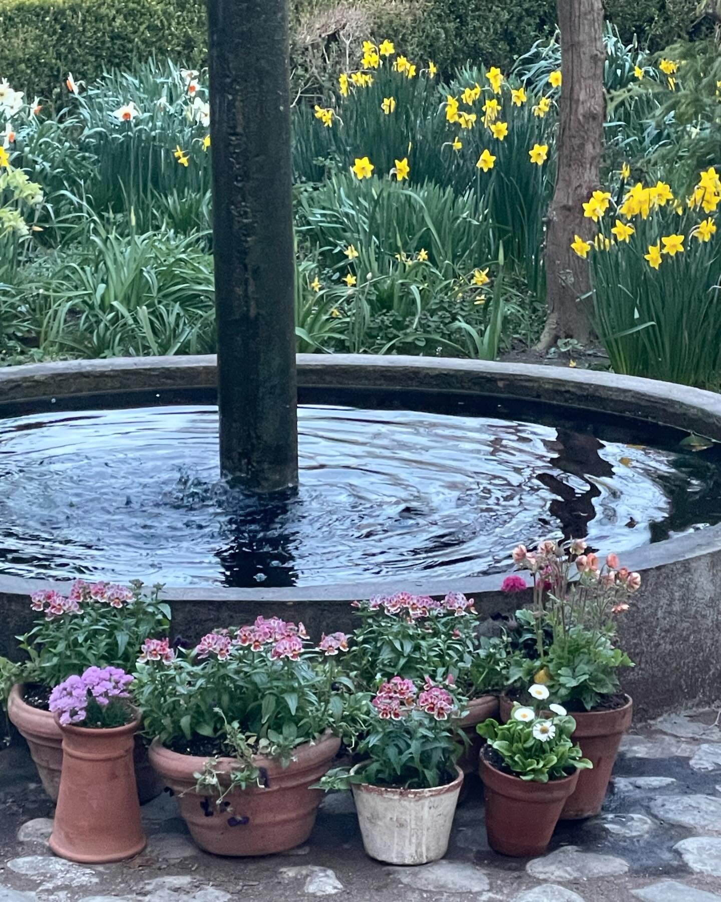 Spring on!
#sprinatmadoo #publicgarden #pots #fountain #sagaponack