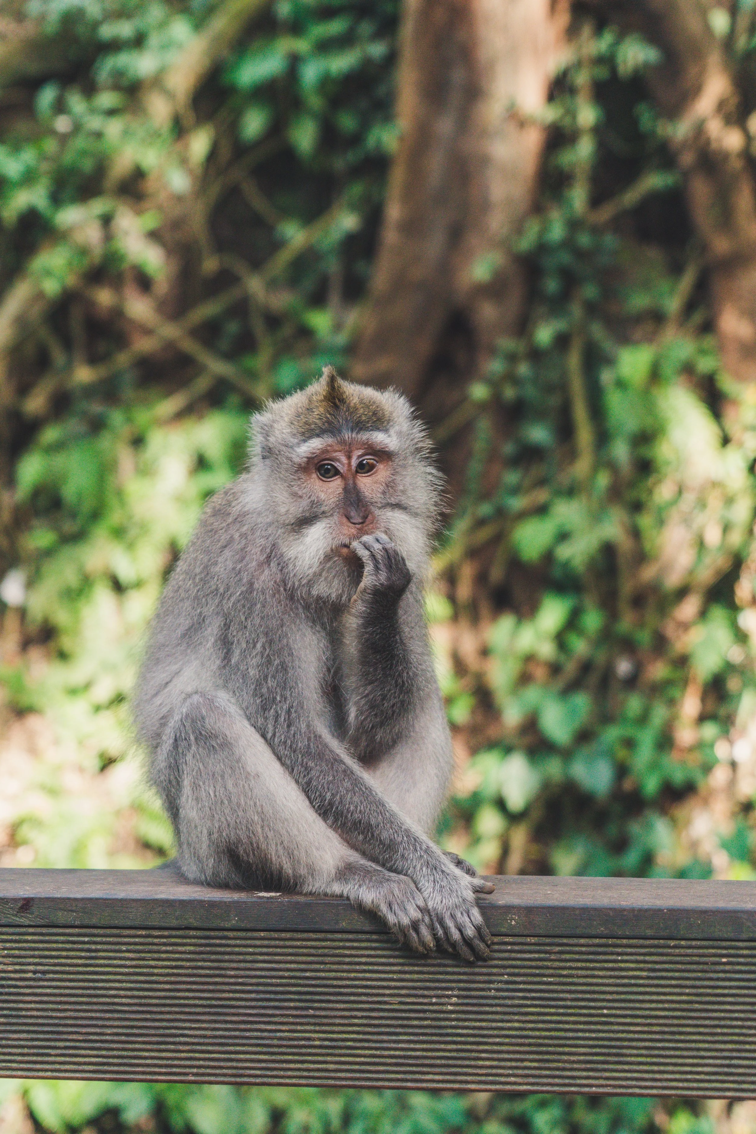 500 Words a Week - Doubt, Hesitancy and Attention