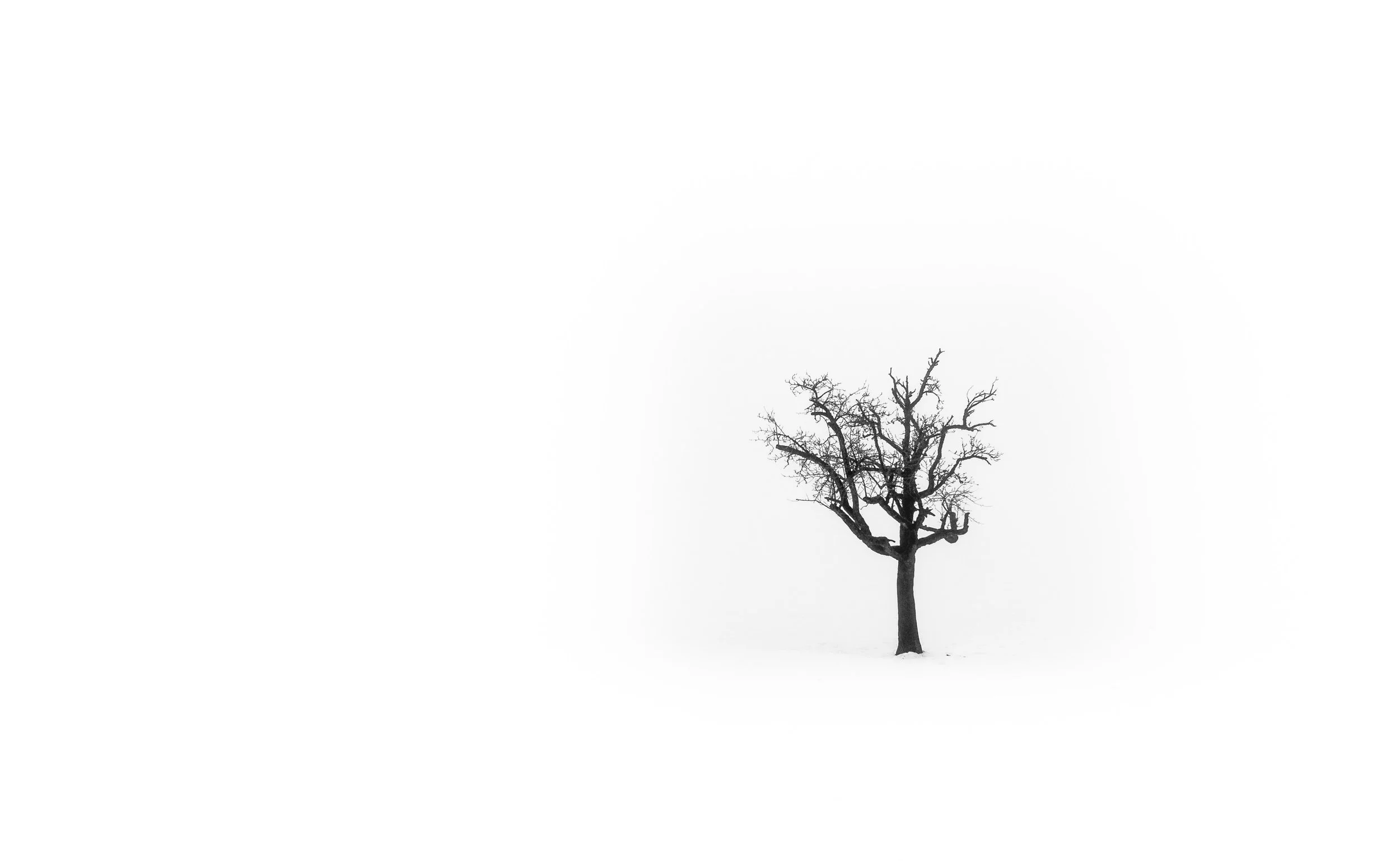 500 Words a Week - Loneliness