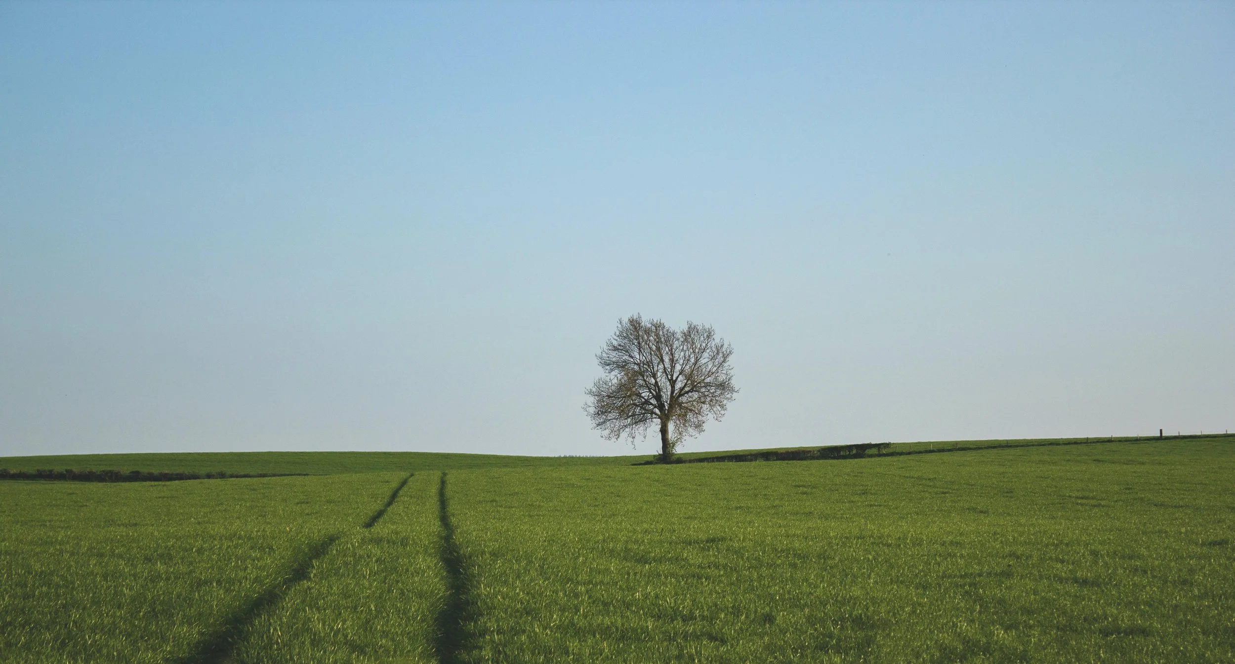 500 Words a Week - Trying to be Everything to Everyone