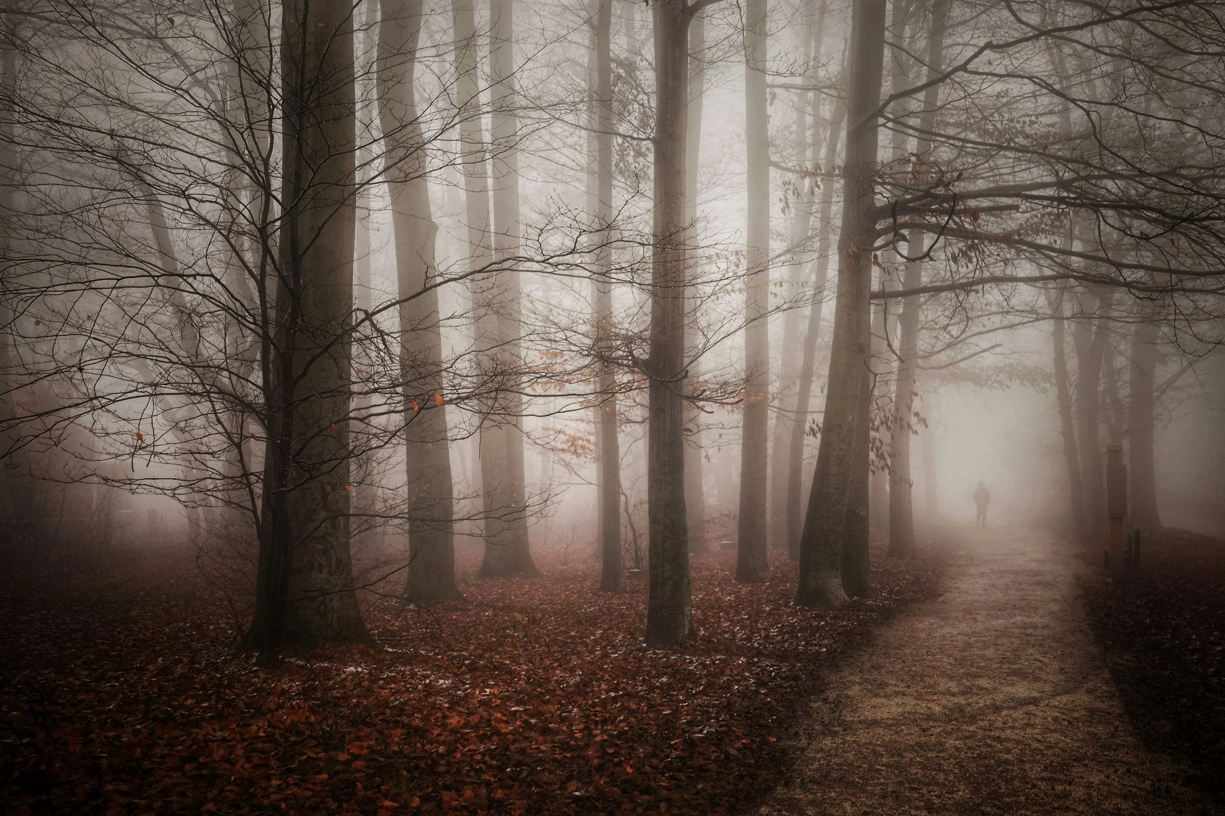 500 Words a Week - Your Wilderness Years