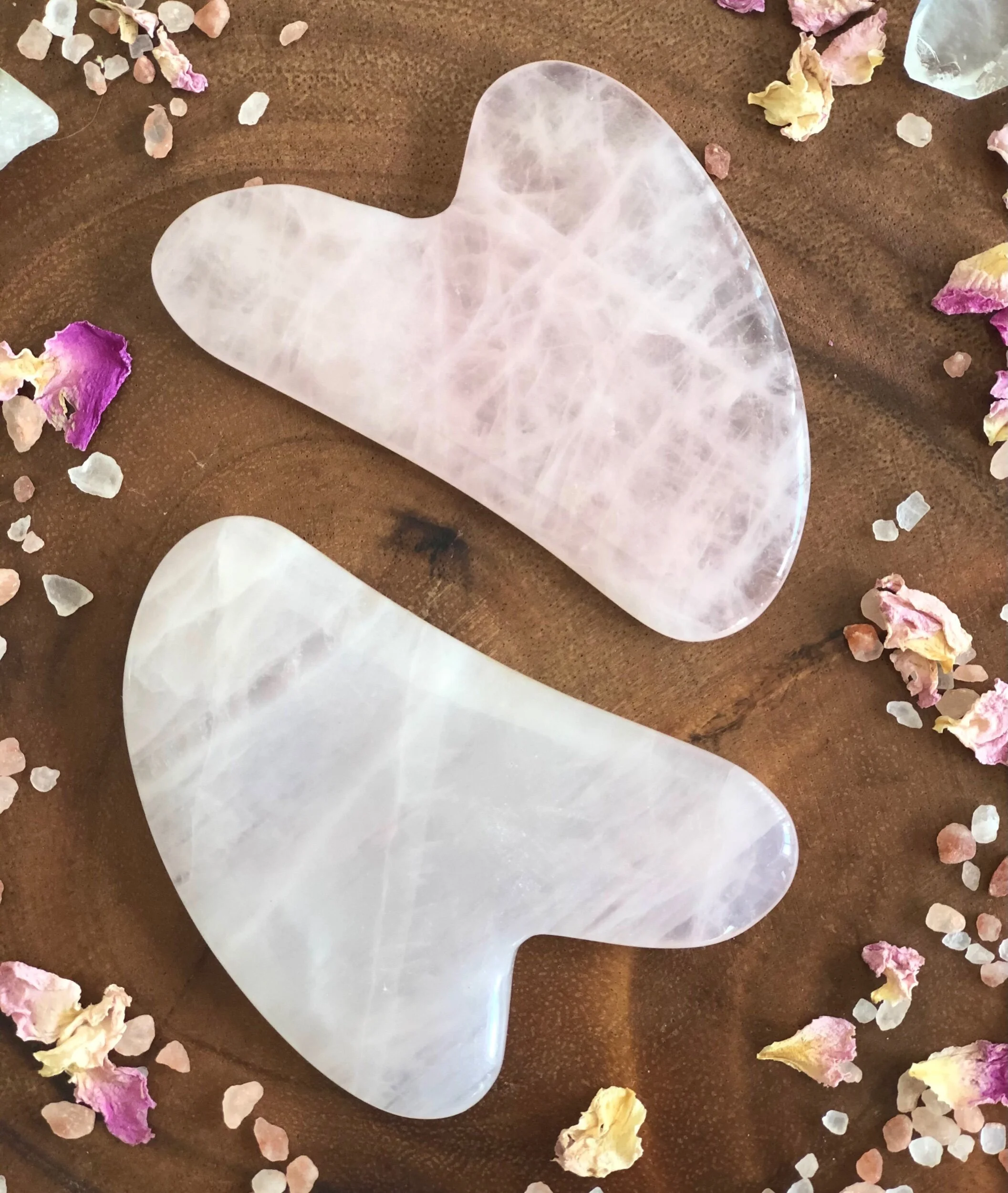 8F0F7F70-EAE7-45C6-BFEB-FDB8C1DA886C