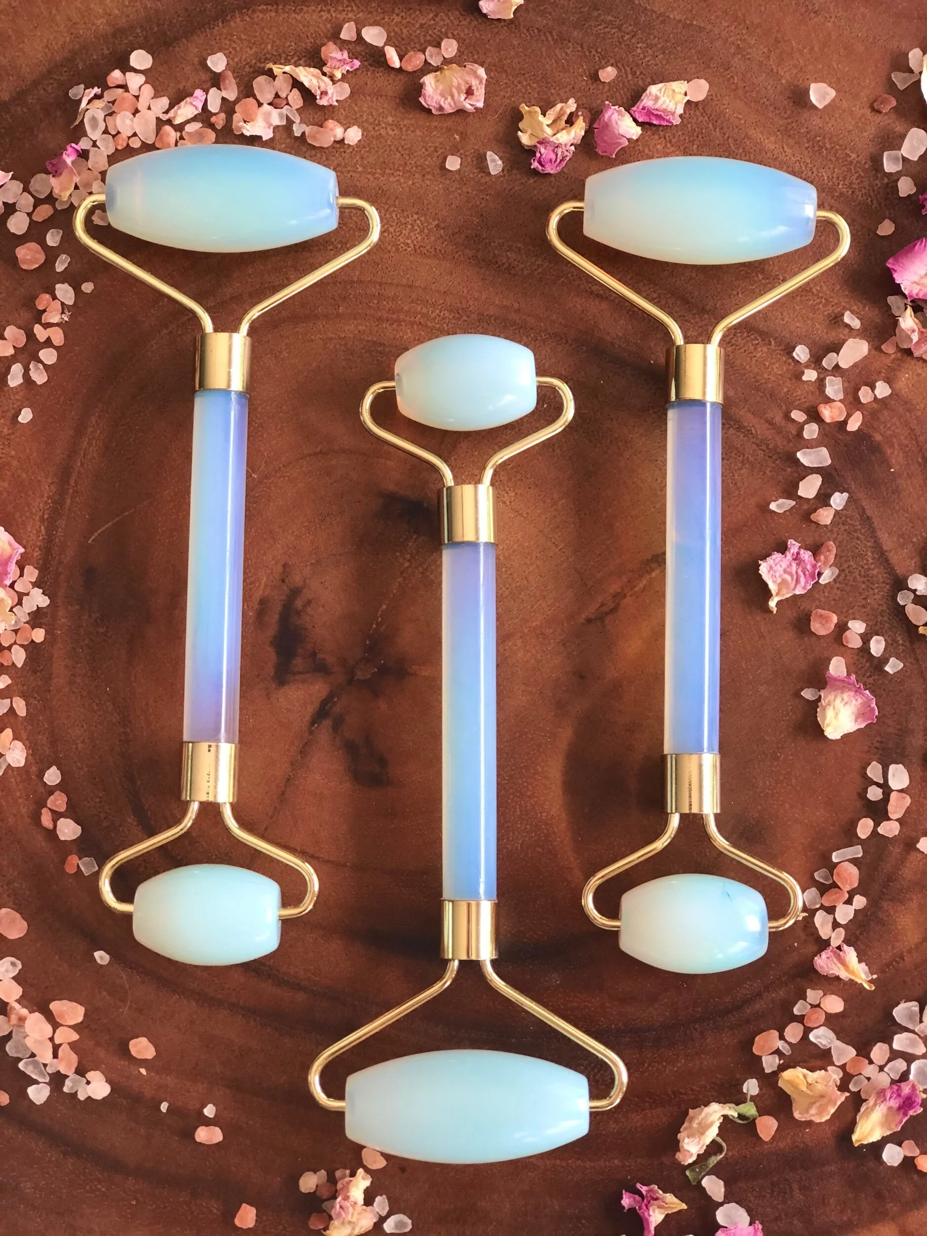 E2185562-B8E5-494B-B6C4-9314BC400196