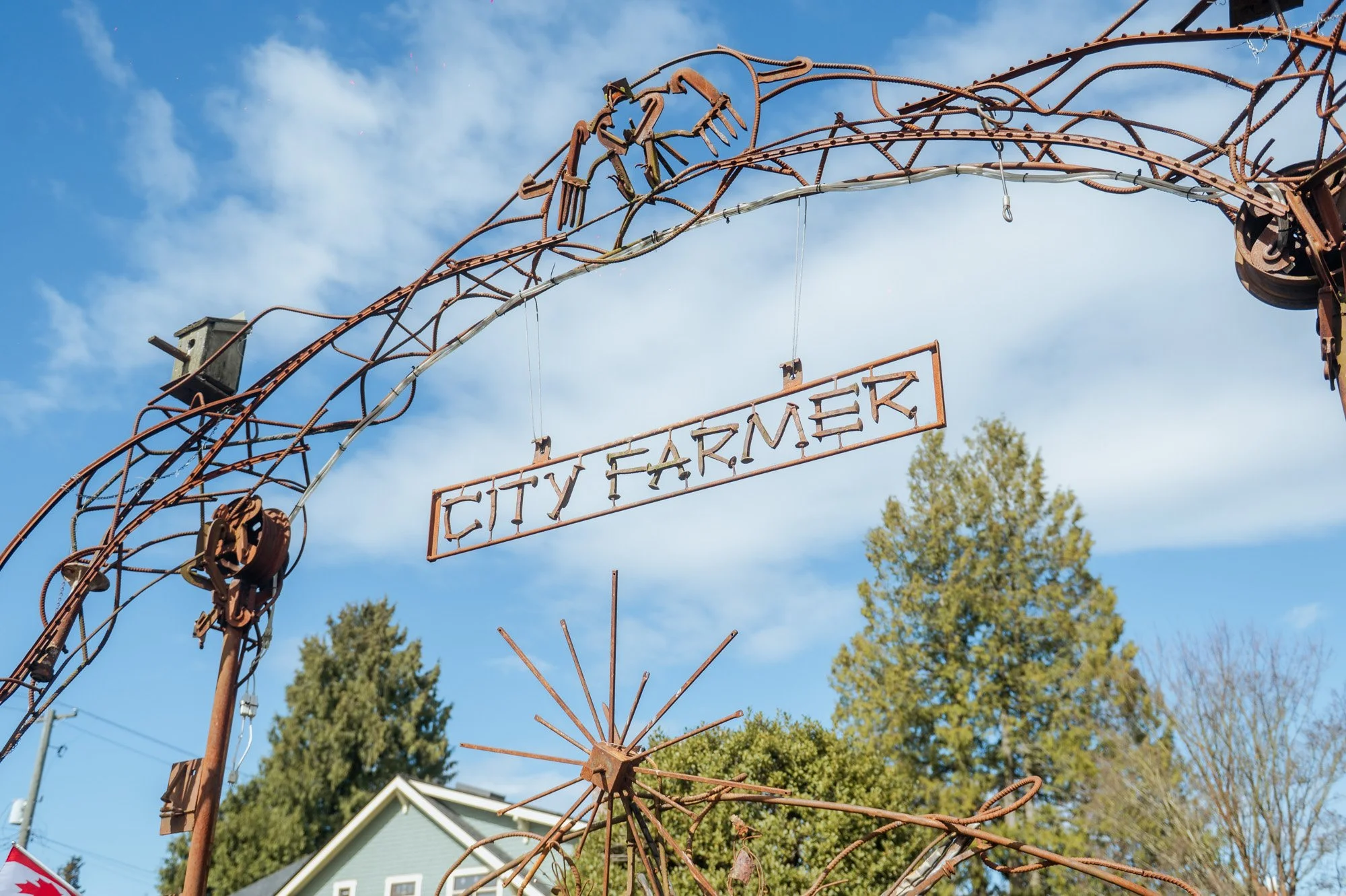 01_CityFarmer_VHF_041.jpg