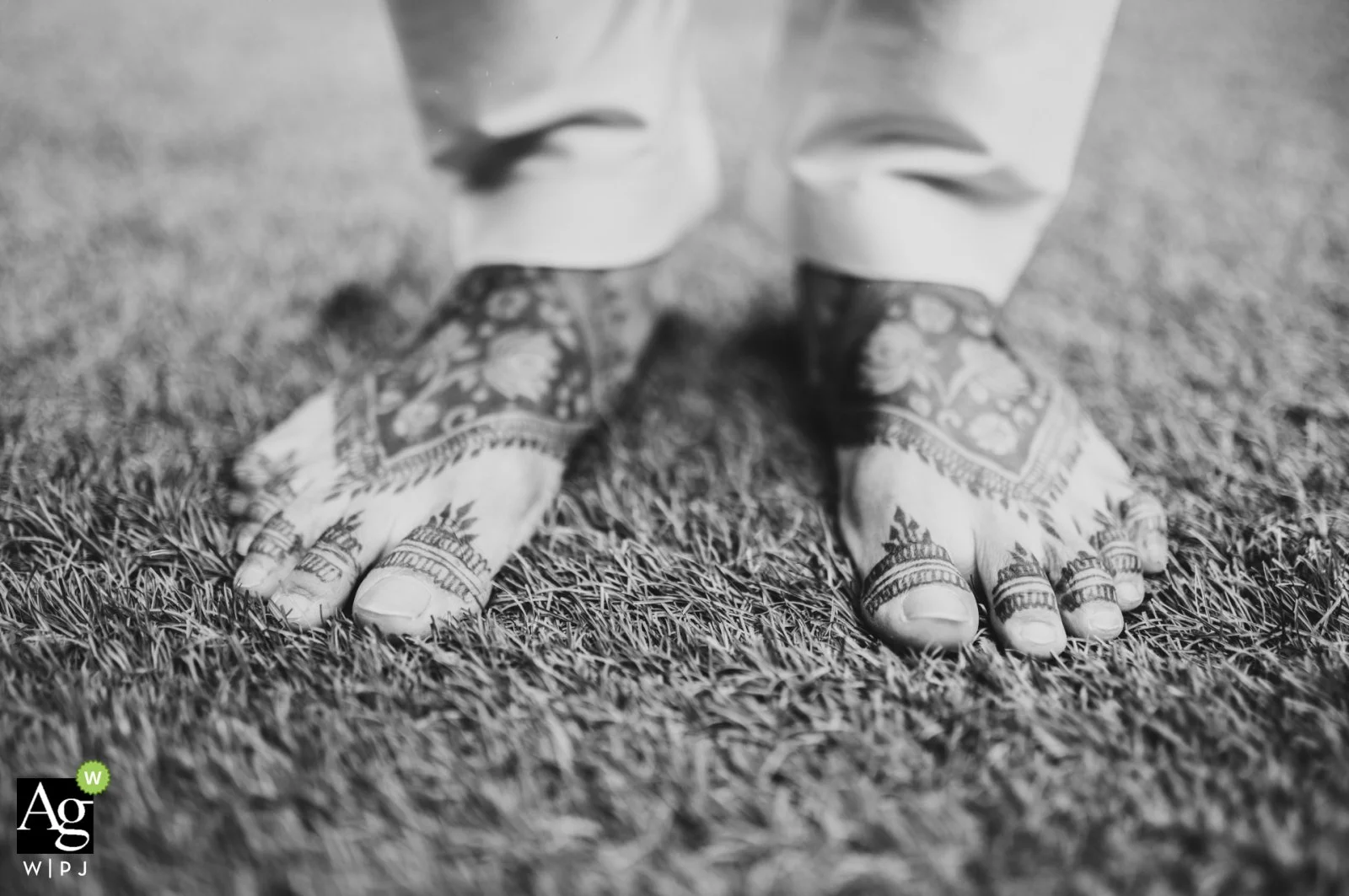 Kabir Farms, Vadodara, india