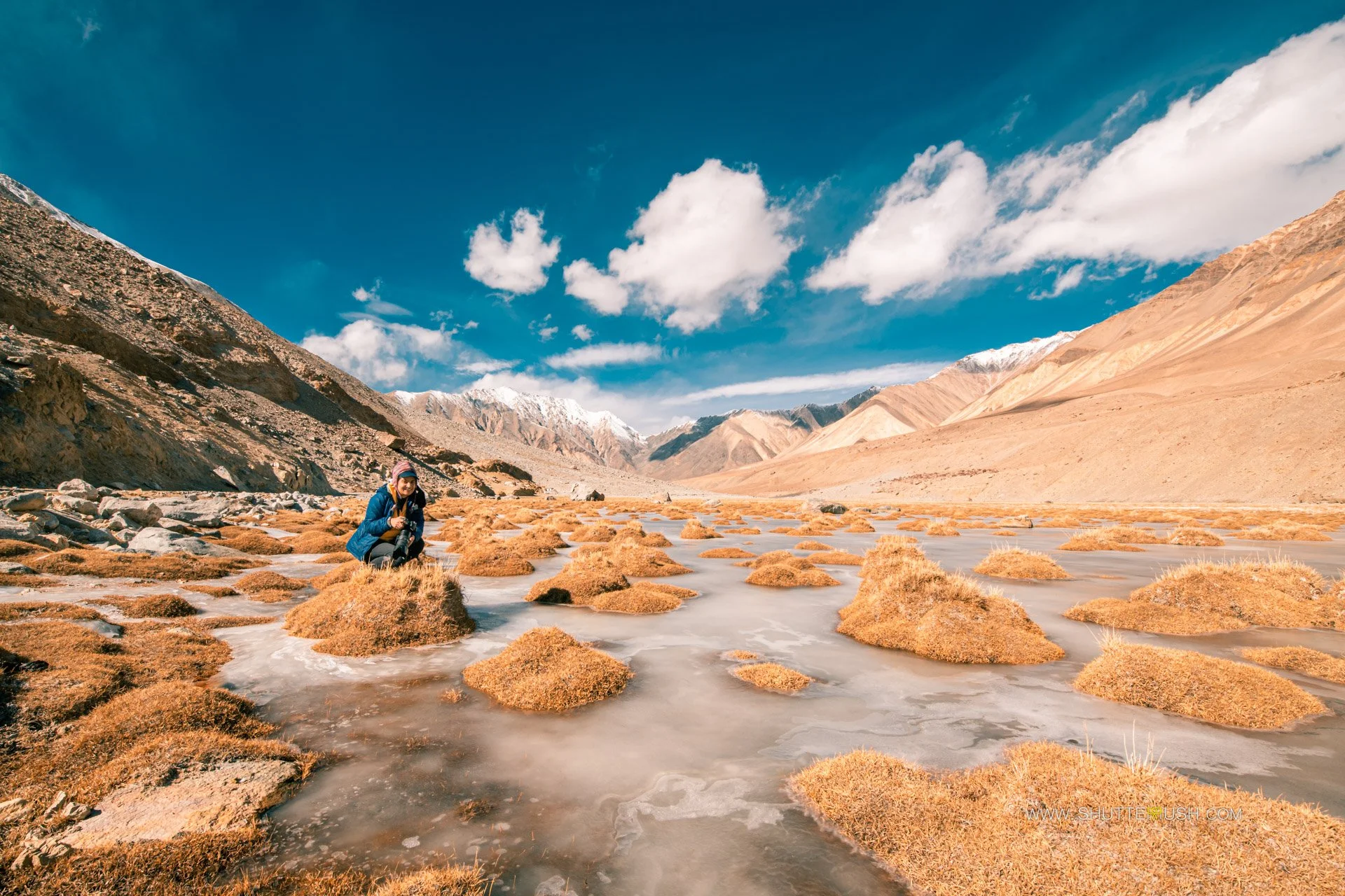 Landscape with Ritvika on frozen grass patches, high-altitude mountains, blue sky with clouds.