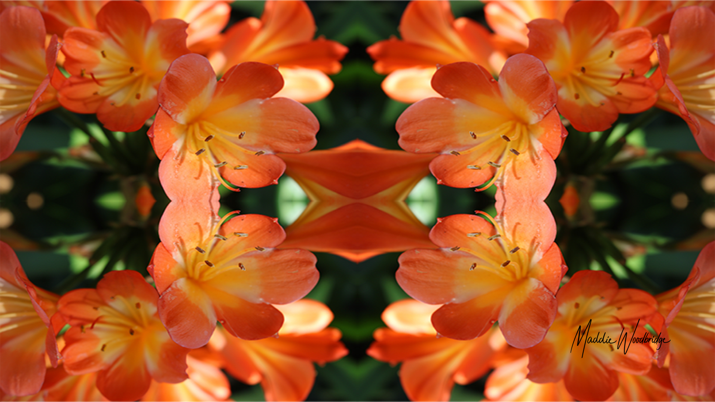 'Flora 113' (2021)