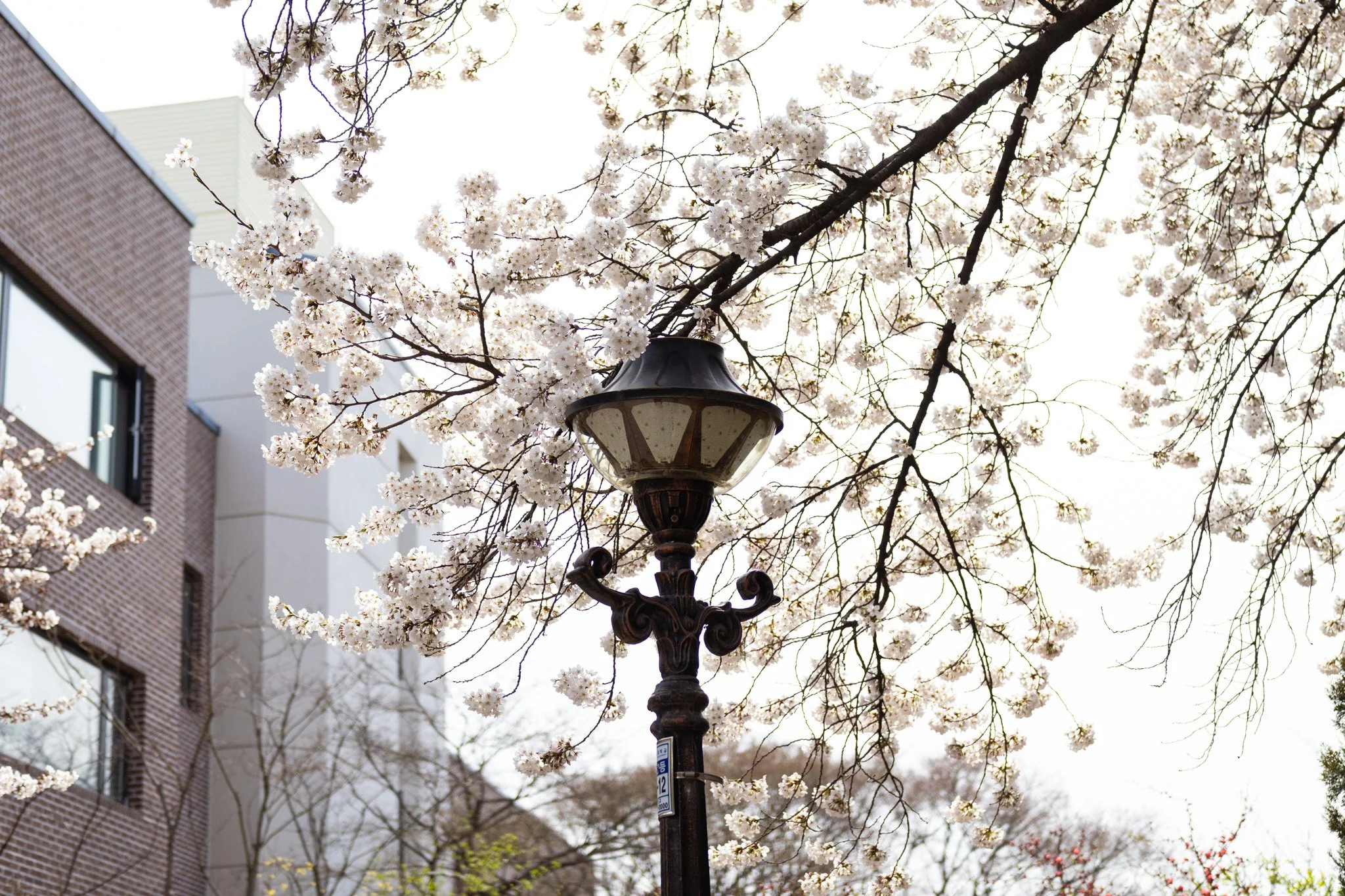 2026 Spring Outing🌸💕