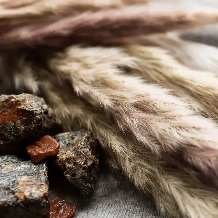 Cashmere Musk (Copy) (Copy) (Copy) (Copy) (Copy) (Copy)