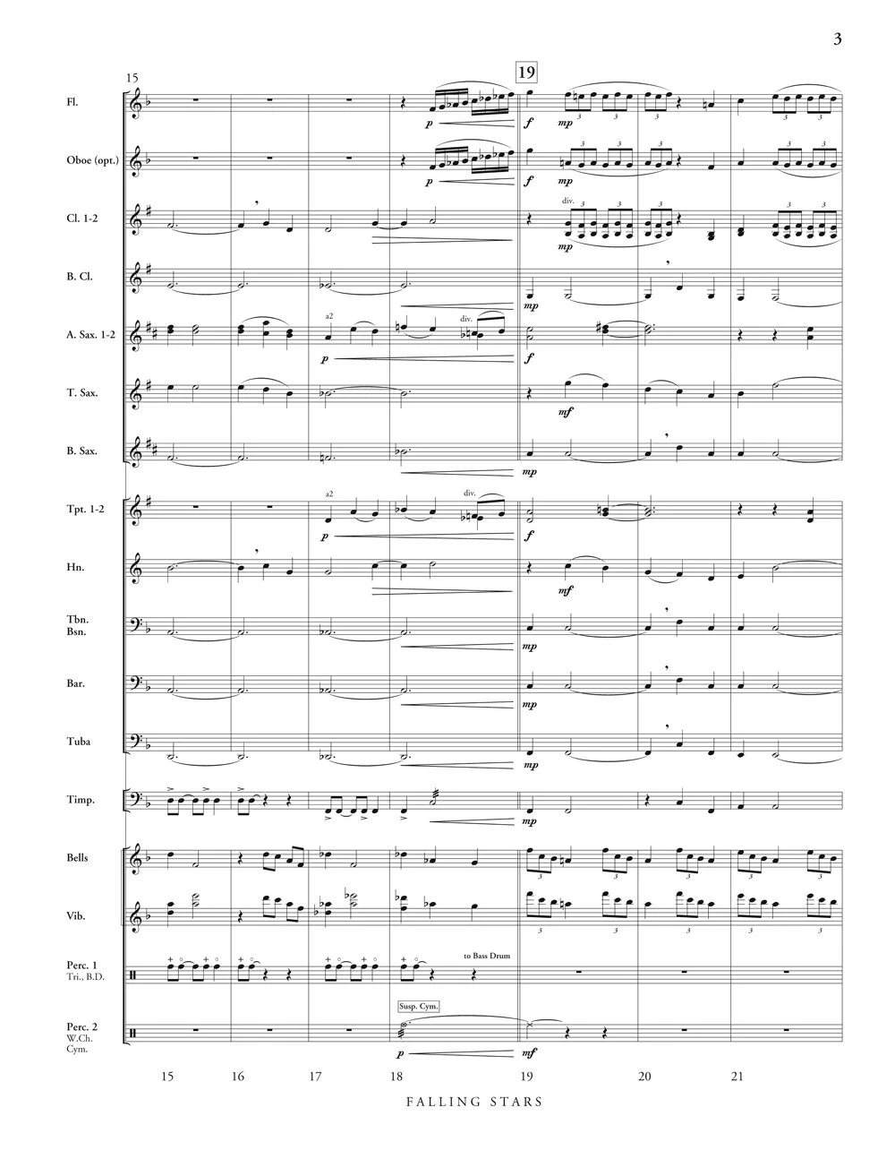 falling_stars_Page_3.jpg